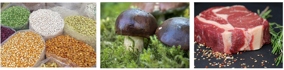 Trzy zdjęcia. Przedstawiają kolejno: różne rodzaje ziaren umieszczone w workach, grzyby rosnące w lesie, kawałek surowego mięsa.  