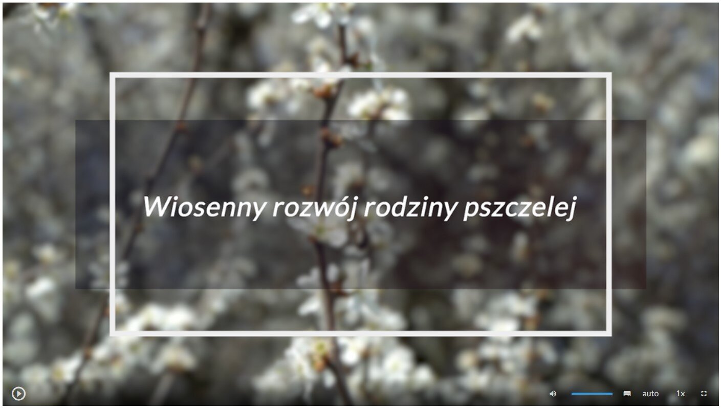 Grafika przedstawia wygląd okna odtwarzania filmu. Znajduje się na nim plansza tytułowa. Jest to fotografia przedstawiająca kwitnące gałęzie drzew. Na jej tle umieszczony został biały prostokąt z tytułem filmu: Wiosenny rozwój rodziny pszczelej. W lewym dolnym rogu ekranu filmu umieszczony jest przycisk służący do odtwarzania i zatrzymywania filmu. W prawym dolnym rogu ekranu umieszczono szereg różnych przycisków. Odpowiedzialne są one za uruchamianie napisów, zmianę głośności, zmianę jakości wyświetlanego materiału, zmianę szybkości odtwarzania oraz włączenie lub wyłączenie trybu pełnoekranowego.
