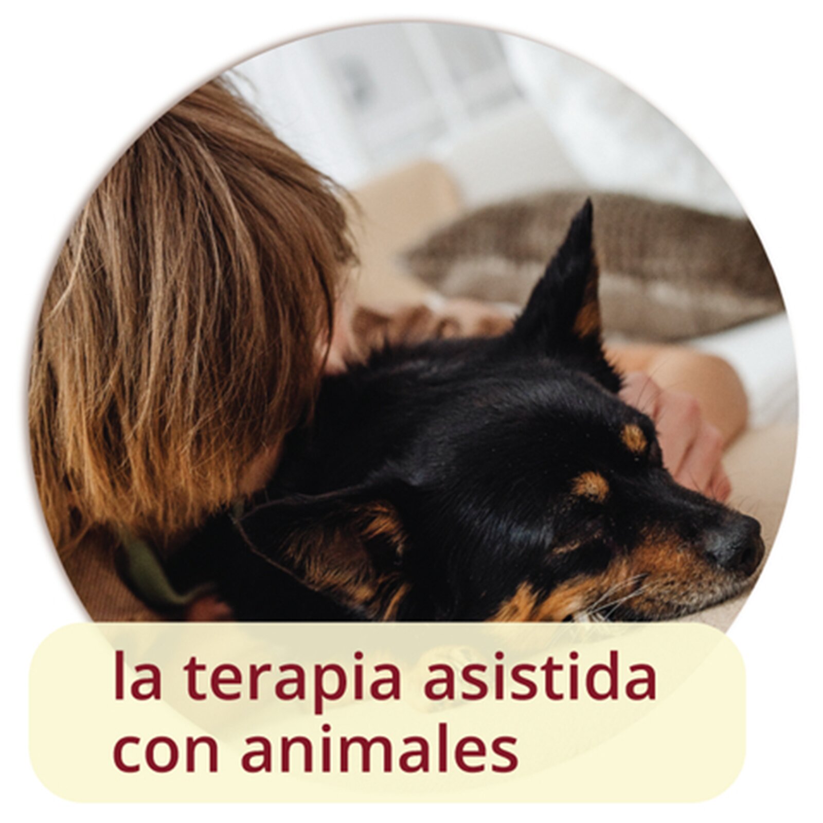 Na grafice widoczne jest dziecko przytulające się do psa. Pod zdjęciem znajduje się napis la terapia asistida con animales.