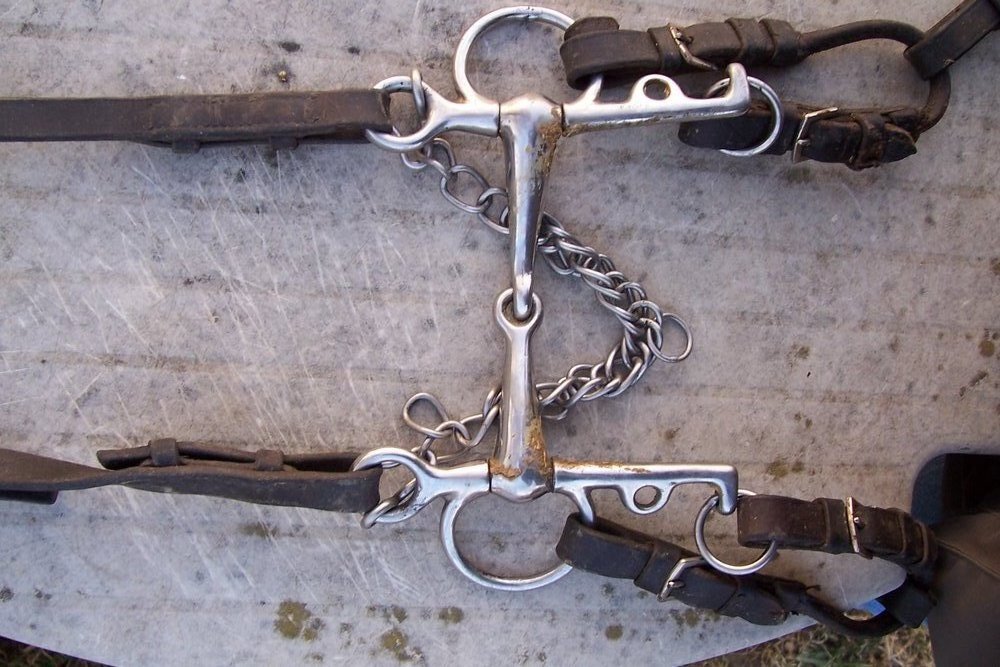 Na zdjęciu widoczny jest pelam. Szczegółowy opis uzupełniający zdjęcie znajduje się w treści definicji.