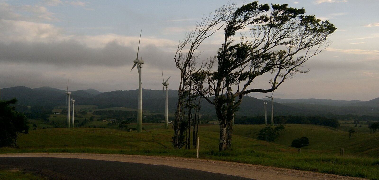 Na fotografii widnieje pejzaż. Na pierwszym planie znajduje się fragment drogi przy której stoją dwa większe i trzy mniejsze drzewa, których gałęzie odchylają się w prawą stronę. Za nimi jest łąka, na której stoją wysokie metalowe wiatraki. W oddali widać wzgórza porośnięte kępkami drzew. W tle pagórki porośnięte lasem. Niebo jest zachmurzone.