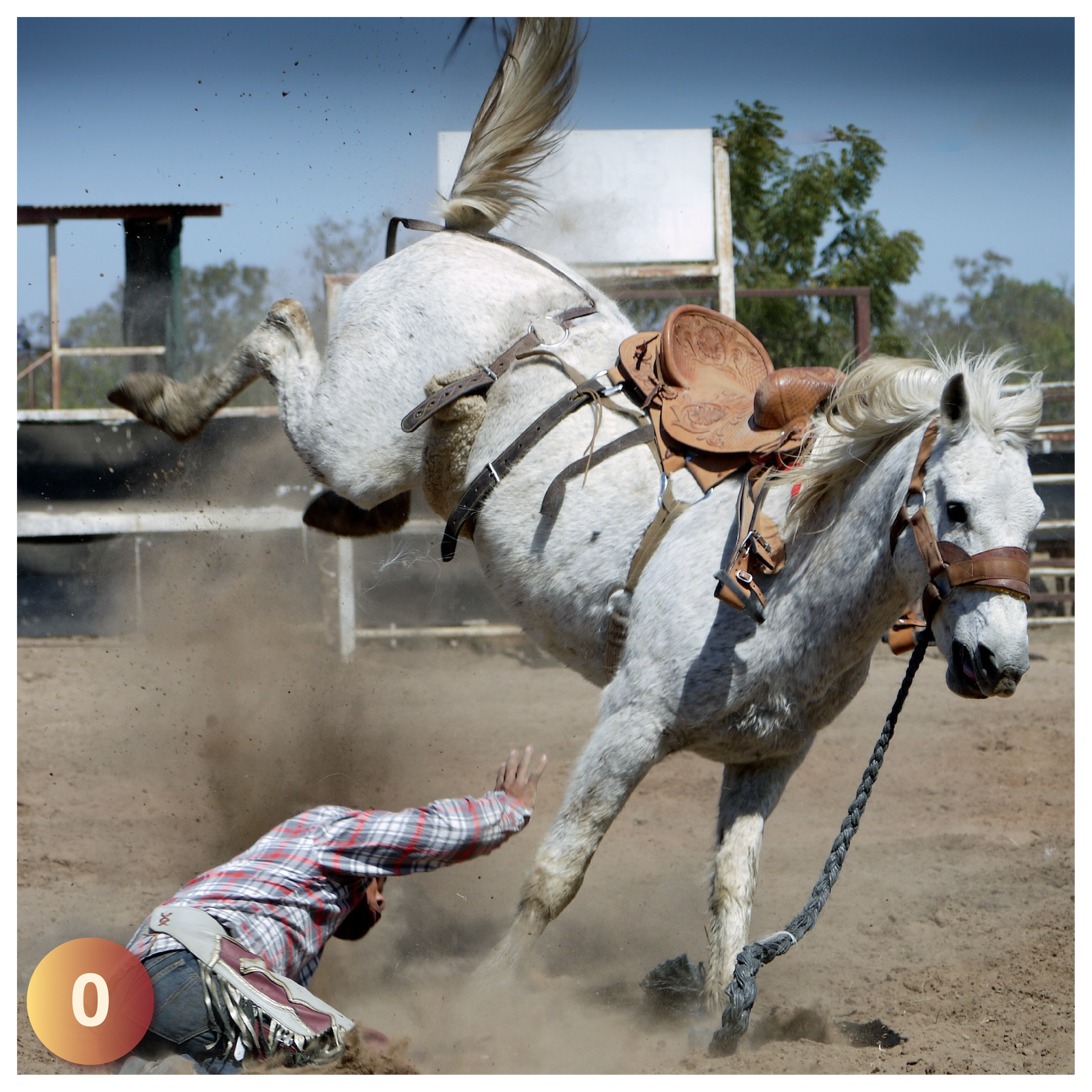 Zdjęcie przedstawia osobę spadającą z konia.