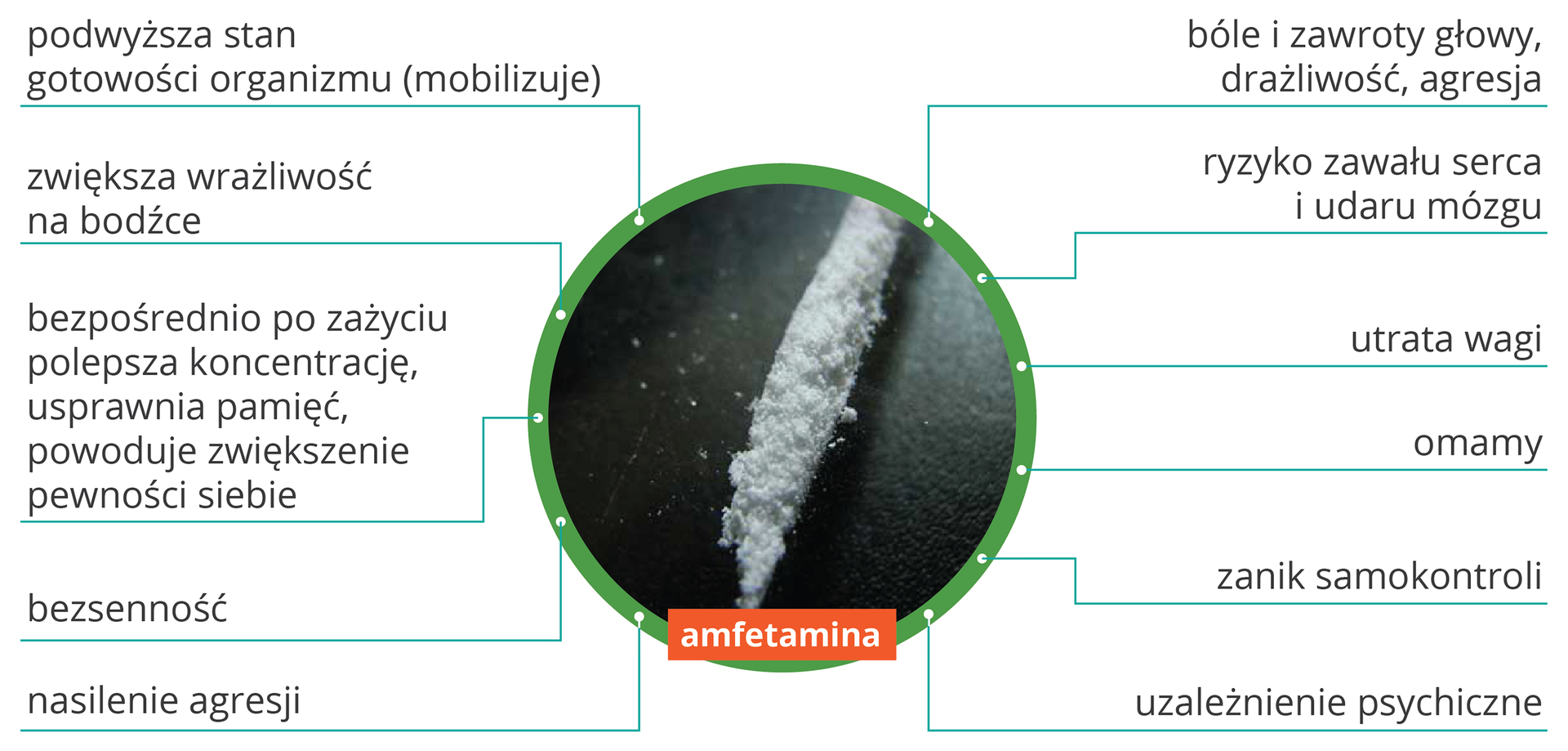 Ilustracja przedstawia w okręgu rząd białego proszku i różne skutki przyjmowania amfetaminy: Amfetamina podwyższa stan gotowości organizmu (mobilizuje), zwiększa wrażliwość na bodźce, bezpośrednio po zażyciu polepsza koncentrację, usprawnia pamięć, powoduje zwiększenie pewności siebie, bezsenność, nasilenie agresji, bóle i zawroty głowy, drażliwość, agresja, ryzyko zawału serca i udaru mózgu, utrata wagi, omamy, zanik samokontroli, uzależnienie psychiczne.