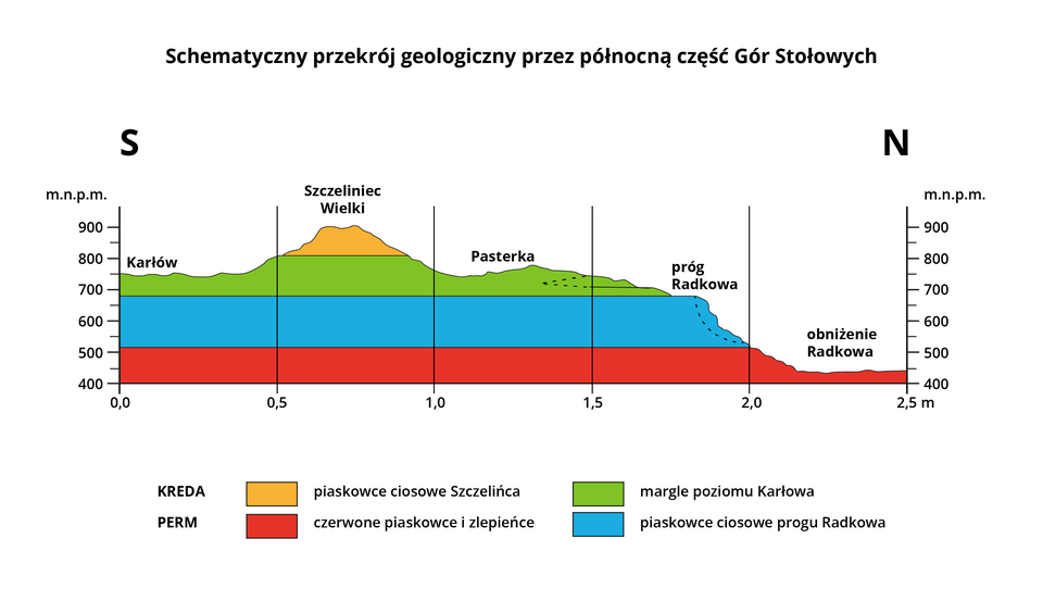 Ilustracja przedstawia schematyczny przekrój geologiczny przez północną część Gór Stołowych. Na przekroju po lewej i prawej stronie zaznaczono podziałkę z wysokością od 400 do 900 metrów nad poziomem morza. Wzdłuż przekroju na dole biegnie linia z podziałką od zera do 2,5 metra. Na przekroju są wzniesienia z zaznaczonymi warstwami skał. Od lewej strony przekroju jest Karłów. Wznosi się do wysokości 750 metrów nad poziomem morza. Następnie jest Szczeliniec wielki - maksymalna wysokość wynosi 900 metrów nad poziomem morza. Kolejne wzniesienie to pasterka - 750 metrów nad poziomem morza. Po prawej stronie Pasterki zaznaczono uskok - próg Radkowa - znajduje się na wysokości około 675 metrów nad poziomem morza. Poniżej progu jest obniżenie Radkowa - na wysokości 450 metrów nad poziomem morza. Przez cały teren na wysokości od 400 do 500 metrów jest warstwa czerwonych piaskowców i zlepieńców. Powyżej tej warstwy na głębokości od 500 do 675 metrów nad poziomem morza występują piaskowce cisowe progu Radkowa. Kolejna warstwa sięga od 675 metrów do 800 metrów nad poziomem morza - to margle poziomu Karłowa. W najwyższym wzniesieniu - Szczelińcu Wielkim - warstwę od 800 do 900 metrów stanowią piaskowce ciosowe.   