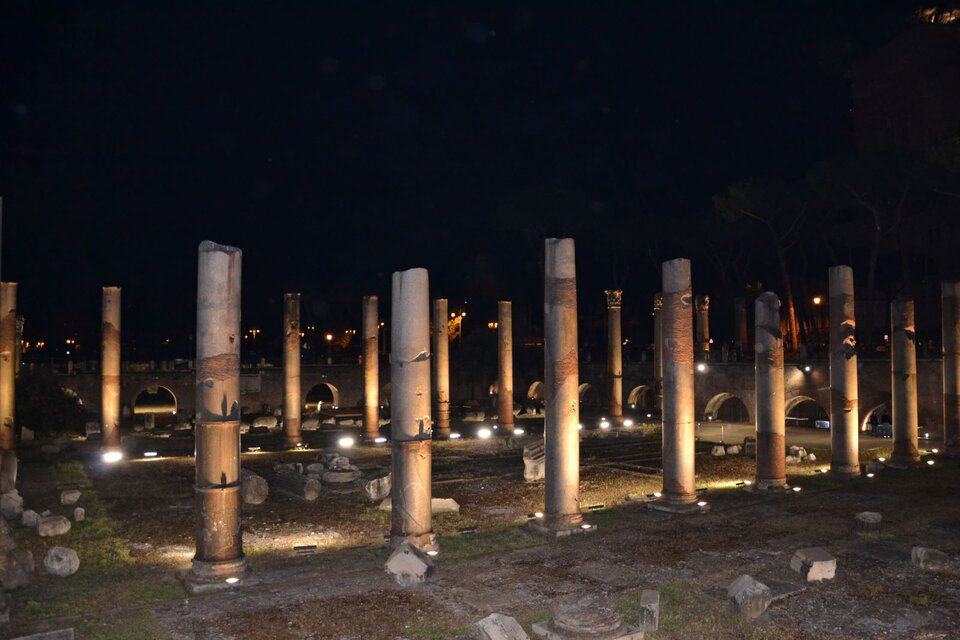 Ilustracja przedstawia fotografię wykonaną w nocy przy sztucznym oświetleniu. Znajdują się na niej trzony kolumn ustawione w rzędach, w stałych odległościach. Są oświetlone żółtym światłem, padającym od dołu, w ten sam sposób na wszystkie kolumny. 