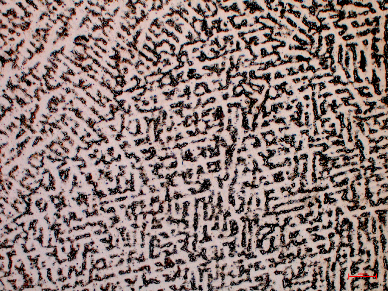 Mikrostruktura dendrytycznaCiemne dendryty ledeburytu na tle jasnej osnowy cementytowej - powiększenie 10x