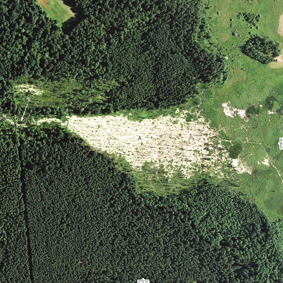 Zdjęcie satelitarne przedstawia tamę bobrową w Puszczy Białowieskiej. Jest to wielki jasny obszar działalności tych zwierząt na terenach podmokłych. Wokół widoczne są rozległe skupiska leśne.
Literami A i B oznaczono miejsca opisane w tekście powyżej zdjęcia.  Literą A w środkowej części zdjęcia oznaczono rozlewisko w postaci jasnej plamy, które powstało na skutek podpiętrzenia wód cieku przez bobrową tamę , którą w lewej części zdjęcia oznaczono literą B.