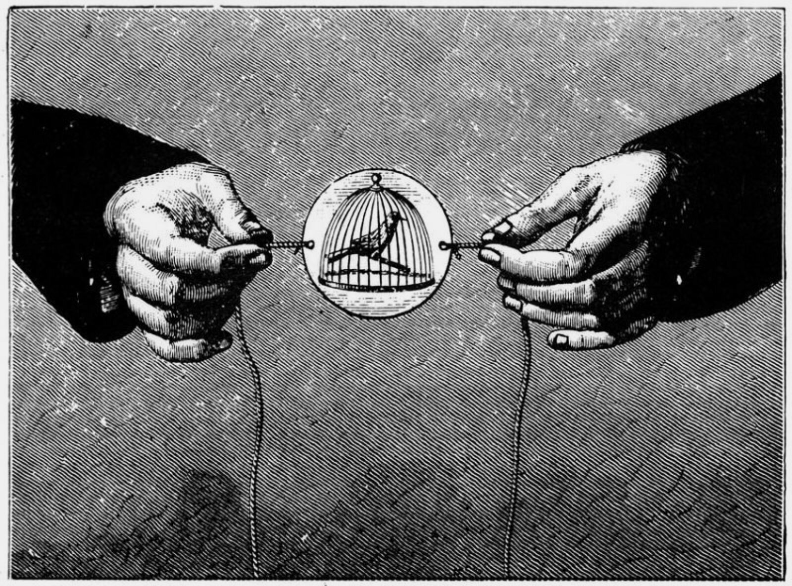 Ilustracja przedstawia taumatrop, krążek z tektury z narysowaną klatką z ptakiem w środku. Krążek umocowany jest na sznurkach, które na ilustracji są trzymane w dłoniach po dwóch stronach. Taumatrop to zabawka - przyrząd do prostych animacji.