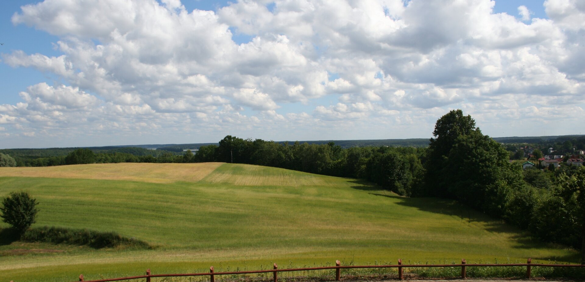 Na zdjęciu rozległe, pofałdowane zielone tereny rolnicze.