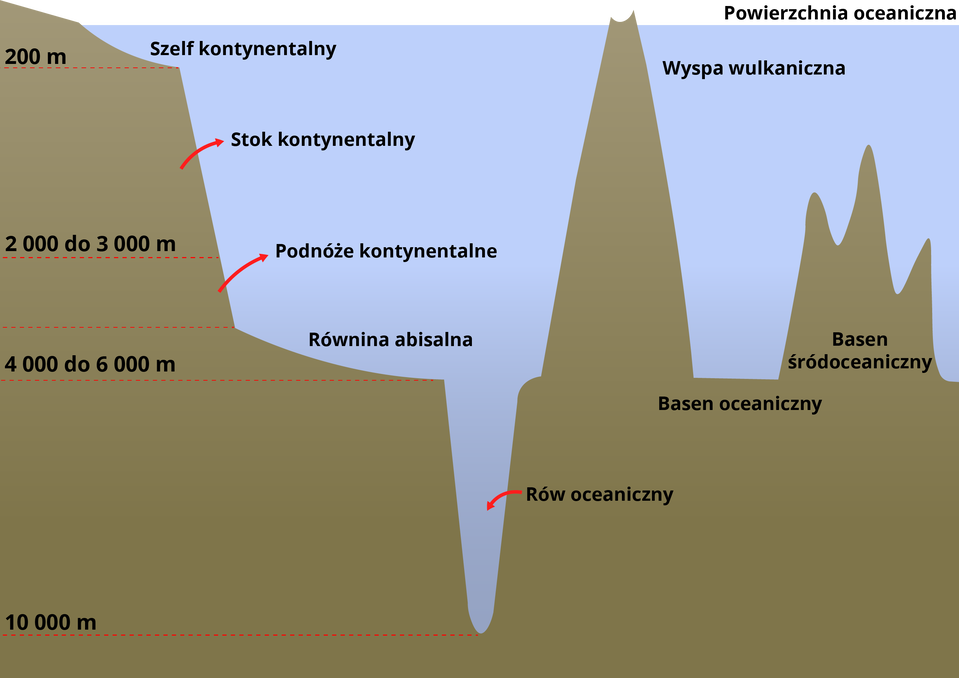 Schemat ukazuje formy ukształtowania dna oceanicznego. Należą do nich: szelf kontynentalny (do głębokości 200 metrów), stok kontynentalny (poniżej szelfu, stromy), podnóże kontynentalne (od 2000 do 3000 metrów), poniżej zaznaczono równinę abisalną (od 4000 do 6000 metrów). Następnie jest duże zagłębienie - to rów oceaniczny, do głębokości dziesięciu tysięcy metrów. Od rowu jest stroma forma aż do powierzchni oceanu, gdzie zaznaczono wyspę wulkaniczną. Poniżej jej jest płaski odcinek, na głębokości 6000 metrów. To basen oceaniczny. Po prawej stronie basenu jest - znajdujący się pod wodą - grzbiet oceaniczny. Ma kilka wierzchołków.     
