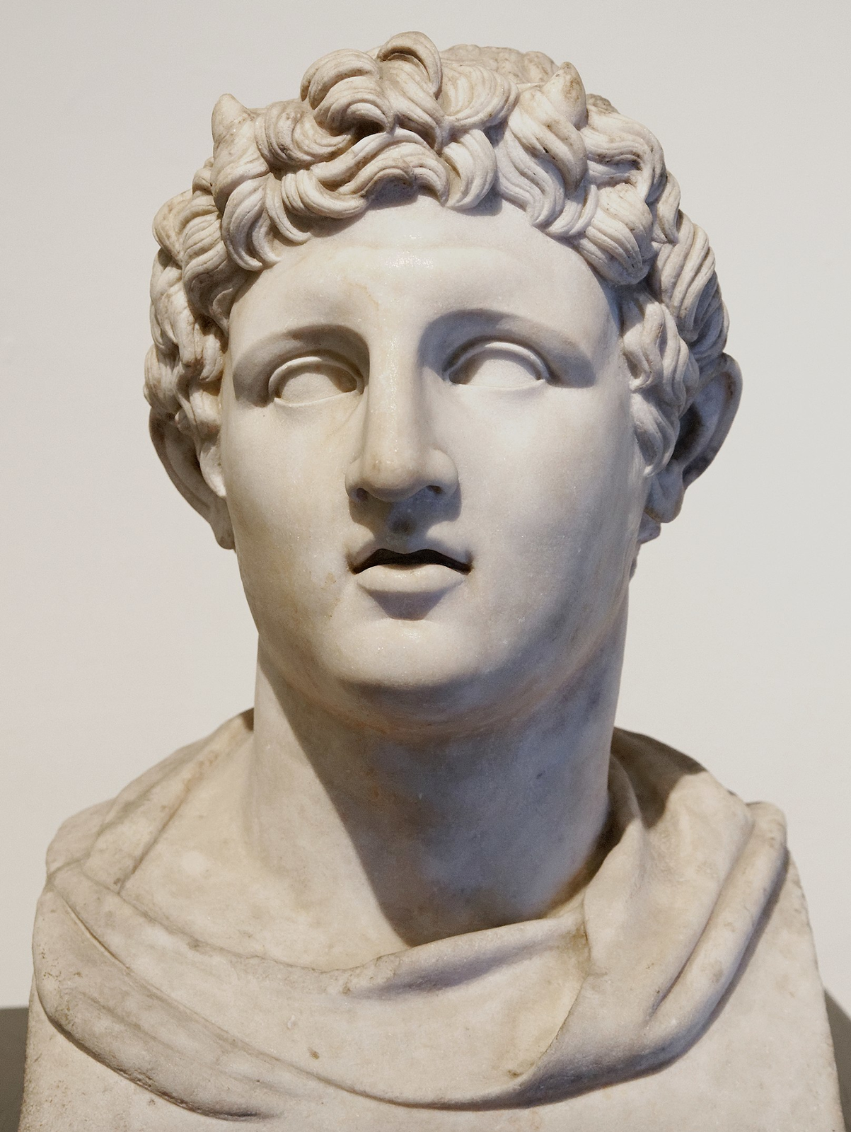 Zdjęcie przedstawia popiersie młodzieńca z kręconymi włosami. Długi, prosty nos oraz wydatne usta. 