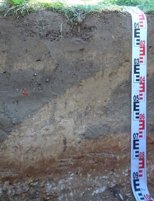 Na zdjęciu przedstawiono profil glebowy. Wierzchnia warstwa jest głęboka, czarna, wcina się ukośnie w kolejną warstwę, burą. Pod nimi znajduje się warstwa brązowo‑rdzawa, a niżej warstwa z białymi drobnymi plamkami.  