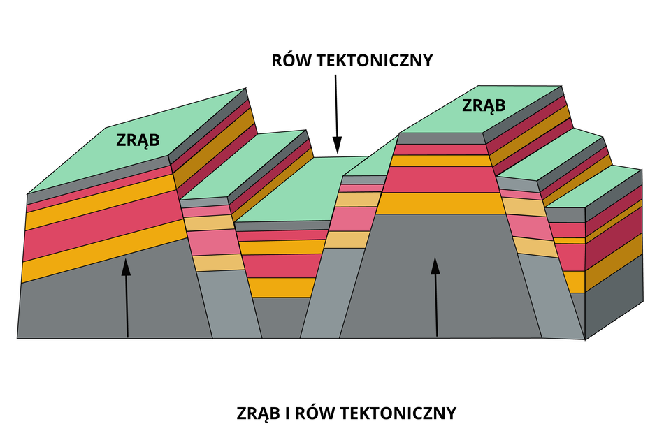 Ilustracja przedstawia schemat powstawania gór zrębowych. Składa się on z dwóch zrębów, pomiędzy nimi jest rów tektoniczny. Zręby składają się z warstw skalnych, znajdują się powyżej rowu tektonicznego. Pod powierzchnią zrębu widoczne są strzałki w górę - oznacza to, że zrąb się  wypiętrza. Z kolei nad rowem tektonicznym widoczna jest strzałka w dół, oznacza ona obniżenie się tej warstwy.