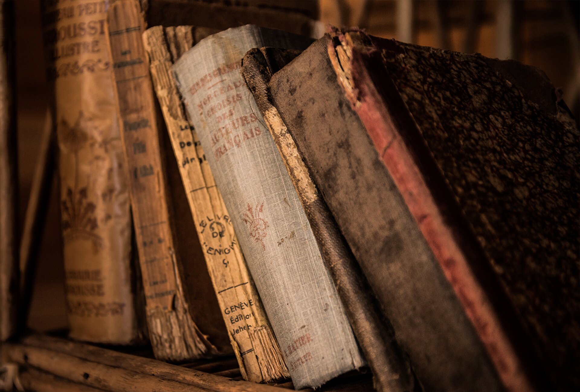 Kolorowe zdjęcie przedstawia siedem książek w sztywnej oprawie, które stoją na regale. Książki są bardzo stare, ich grzbiety są zniszczone.