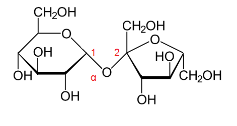 Grafika przedstawia cząsteczkę sacharozy - zbudowaną z cząsteczki α‑D‑glukozy oraz cząsteczki β‑D‑fruktozy połączonych wiązaniem α‑1,2‑glikozydowym, które powstaje w wyniku połączenia przez atom tlenu węgla w pozycji 1 cząsteczki α‑D‑glukozy z węglem w pozycji 2 cząsteczki β‑D‑fruktozy. Sacharoza jest dwucukrem zbudowanym z D‑glukozy oraz D‑fruktozy, które łączy wiązanie α,β‑1,2-O-glikozydowe. Strukturę stanowi sześcioczłonowy pierścień, w którym pierwszy lokant stanowi atom węgla C1 związany z atomem tlenu wbudowanym w tenże pierścień. Węgiel C5 zamyka pierścień i łączy się ze wspomnianym atomem tlenu oraz węglem C6, niewbudowanym w pierścień. Od węgla C1 odchodzi wiązanie łączące go z atomem tlenu, który to łączy się z węglem C2 pierścienia D‑fruktozy. Od węgli C2 oraz C4 odchodzą do góry grupy hydroksylowe OH, zaś do dołu od grupy C3, grupa hydroksylowa odchodzi również od węgla C6. Drugi pięcioczłonowy pierścień stanowi D‑fruktoza, w której węgiel C1 należący do grupy C H indeks dolny, dwa, koniec indeksu dolnego podstawiony jest grupą hydroksylową OH i łączy się z atomem węgla C2, który związany jest z atomem tlenu łączącym pierścień D‑fruktozy z pierścieniem D‑glukozy. Od węgla C3 do dołu odchodzi grupa hydroksylowa OH, z kolei od węgla C4 do góry odchodzi grupa hydroksylowa OH. Węgiel C4 łączy się z atomem tlenu, który to łączy się z atomem węgla C1, co zamyka pięcioczłonowy pierścień. Ponadto od węgla C4 odchodzi do dołu grupa C H indeks dolny, dwa, koniec indeksu dolnego, O H. Oba anomeryczne atomy węgla, zarówno w pierścieniu fruktozy, jaki glukozy nie posiadają grup hydroksylowych. Łączy je mostek tlenowy.