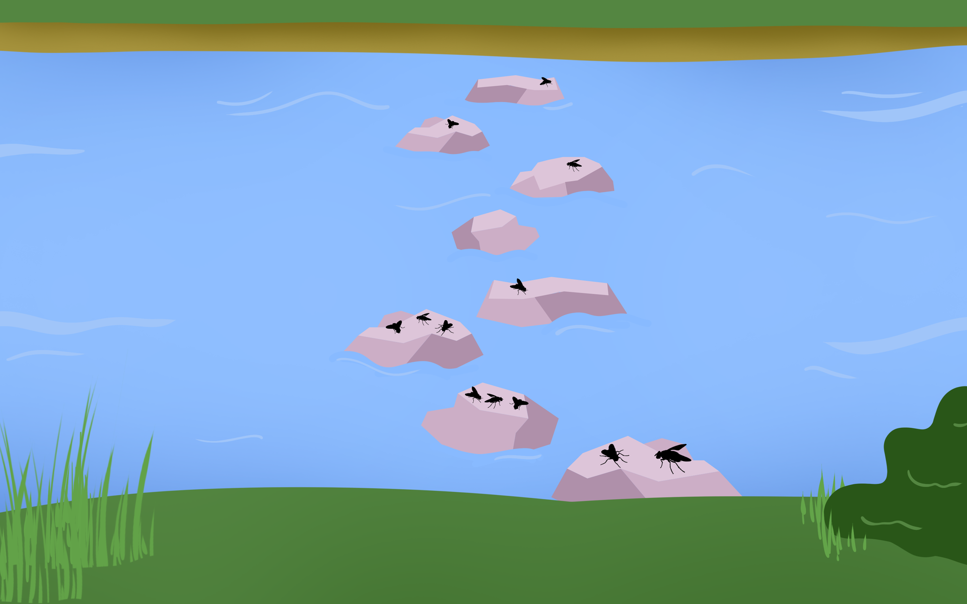 Ilustracja przedstawia strumyk płynący od prawej do lewej strony. Na pierwszym planie znajduje się brzeg, dalej rzeka i drugi brzeg. Pomiędzy jednym a drugim brzegiem na szerokości strumyka rozmieszczone są kamienie. Znajdują się na nich muchy. Na pierwszym dwie. Na drugim i na trzecim po trzy. na czwartym jedna. Na piątym zero, Natomiast na szóstym, siódmym i ósmym po jednej musze.