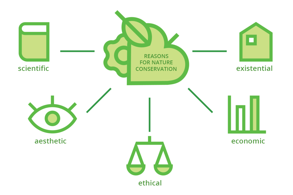 Ilustracja przedstawia schemat w zielonym kolorze. W centrum znajduje się napis: reasons for nature conservation. Kreski prowadzą do graficznych symboli czynników, motywujących do ochrony: scientific; aesthetic; ethical; econimic; existential