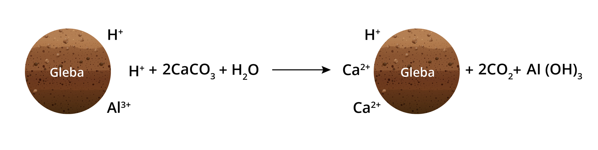 Równanie reakcji. Po lewej stronie równanie zaczyna się od brązowego koła z napisem gleba. Po prawej stronie koła są dwa kationy wodoru i jeden kation glinu dodać dwie cząsteczki węglanu wapnia dwa dodać jedna cząsteczka wody, co daje: koło z napisem gleba, po lewej stronie koła jest kation wodoru, dwa kationy wapnia dodać dwie cząsteczki dwutlenku węgla dodać jedna cząsteczka wodorotlenku glinu.