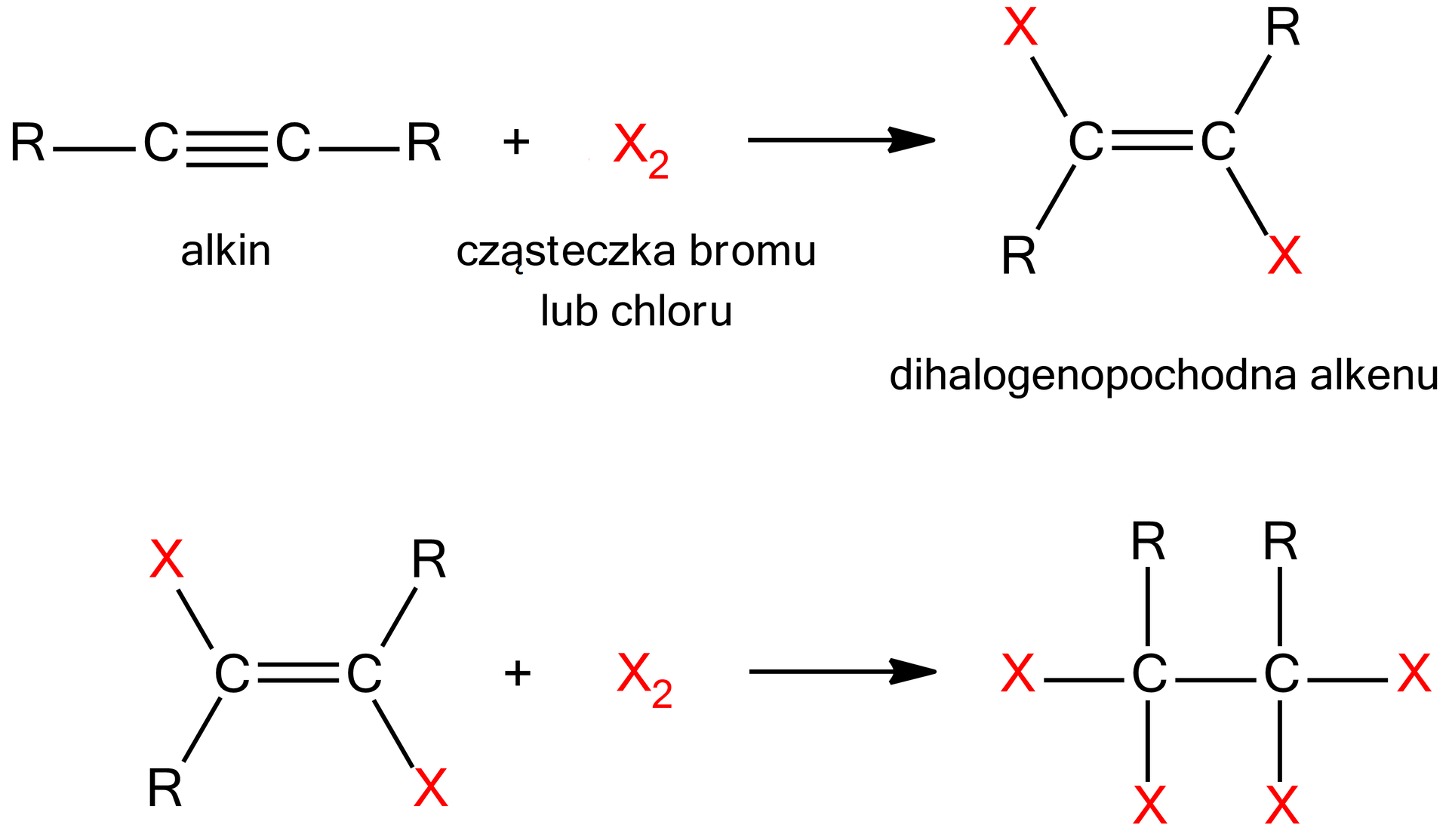 Na ilustracji są dwa równania reakcji. Pierwsze równanie: alkin dodać cząsteczka bromu lub chloru strzałka w prawo dihalogenopochodna alkenu. Alkin ma wzór - dwa atomy węgla łączą się ze sobą wiązaniem potrójnym, każdy z atomów węgla łączy się z R. Drugi substrat to X 2 . W wyniku reakcji powstaje produkt o wzorze: dwa atomy węgla łączą się ze sobą wiązaniem podwójnym. Atom węgla leżący po lewej stronie wzoru łączy się na górze z X, a na dole z Y. Drugi atom węgla odwrotnie - na górze z R, na dole z X. Drugie równanie: substrat o wzorze - dwa atomy węgla łączą się ze sobą wiązaniem podwójnym. Atom węgla leżący po lewej stronie wzoru łączy się na górze z X, a na dole z Y. Drugi atom węgla odwrotnie - na górze z R, na dole z X, czyli dihalogenopochodna alkenu dodać X 2 daje produkt o wzorze: dwa atomy węgla łączą się ze sobą. Każdy z nich na górze łączy się z R, a z dwóch pozostałych wolnych stron łączy się z X.