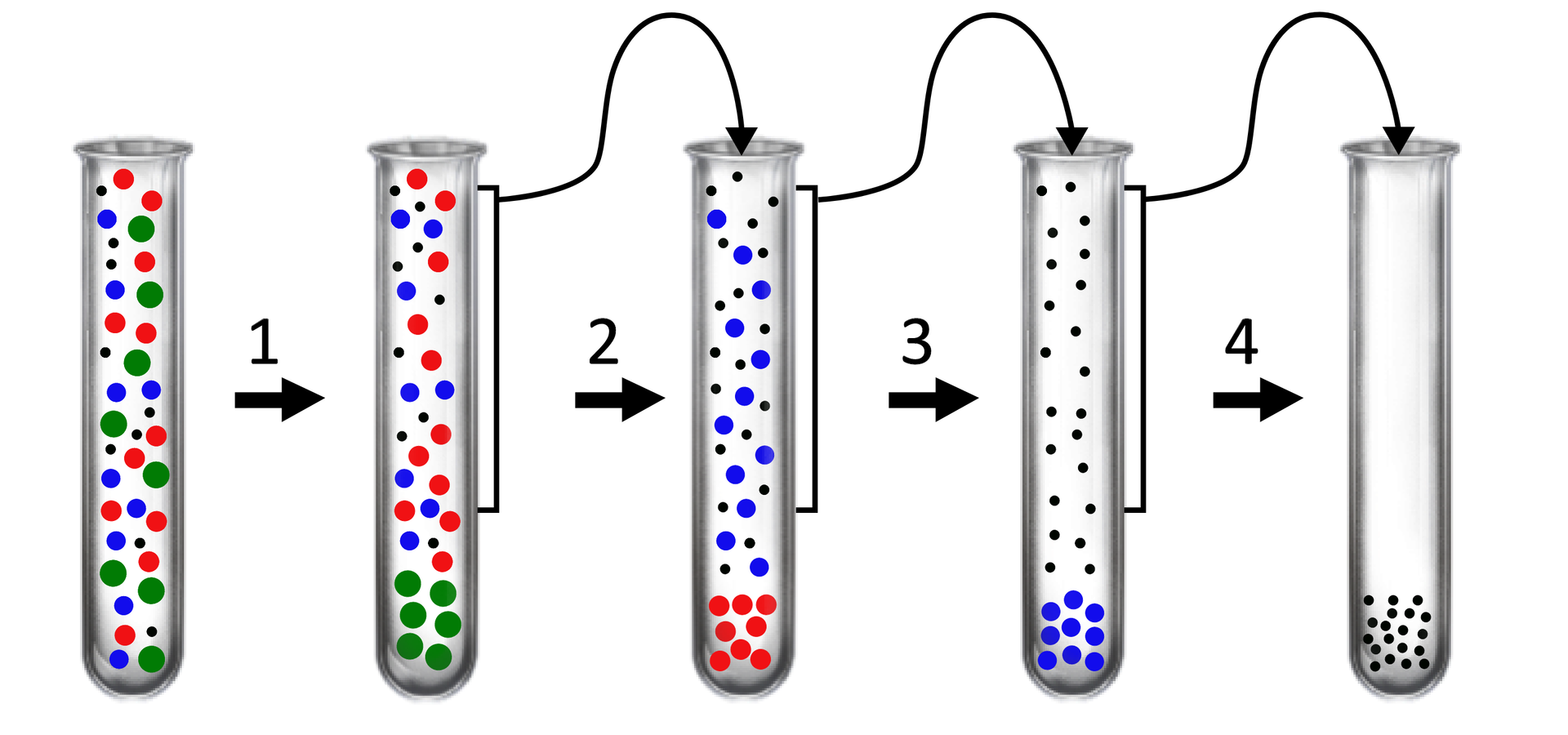 Ilustracja przedstawia pięć probówek i cztery strzałki między nimi skierowane w prawą stronę. Widoczne są również trzy strzałki idące od drugiej probówki. Wskazują one otwory probówek. Pierwsza probówka wypełniona jest większymi i mniejszymi, okrągłymi formami wymieszanymi ze sobą. Są w kolorze niebieskim, czerwonym i zielonym. Widocznych jest też kilka najmniejszych, czarnych form. W drugiej probówce wszystkie zielone, okrągłe formy znajdują się na samym dole, zaś czerwone, niebieskie i czarne są wymieszane nad nimi. W trzeciej probówce nie ma już zielonych form. W ich miejscu znajduje się skupisko czerwonych. Natomiast niebieskie i czarne formy są wymieszane powyżej. Na samym dole czwartej probówki widoczne jest skupisko niebieskich form. Powyżej probówka jest wypełniona czarnymi formami. W dolnej części piątej probówki znajduje się tylko skupisko czarnych form.