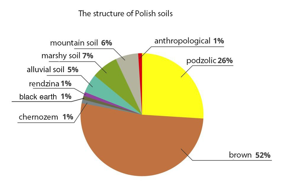 Diagram kołowy przedstawiający powierzchniową strukturę gleb Polski. The structure of Polish soils. Najwięcej bo 52 % polskich gleb stanowią brunatne i płowe, brown. 26 % gleby bielice, podzolic. 7 % gleby bagienne, marshy soil. 6 % gleby górskie, mountain soil. 5 % gleby mady, alluvial soil. 1% gleby rendzina, rendzina. 1% gleby czarne ziemie, black earth. 1 % gleby czarnoziemy, chernozem. 1% gleby antropogeniczne, anthropological.