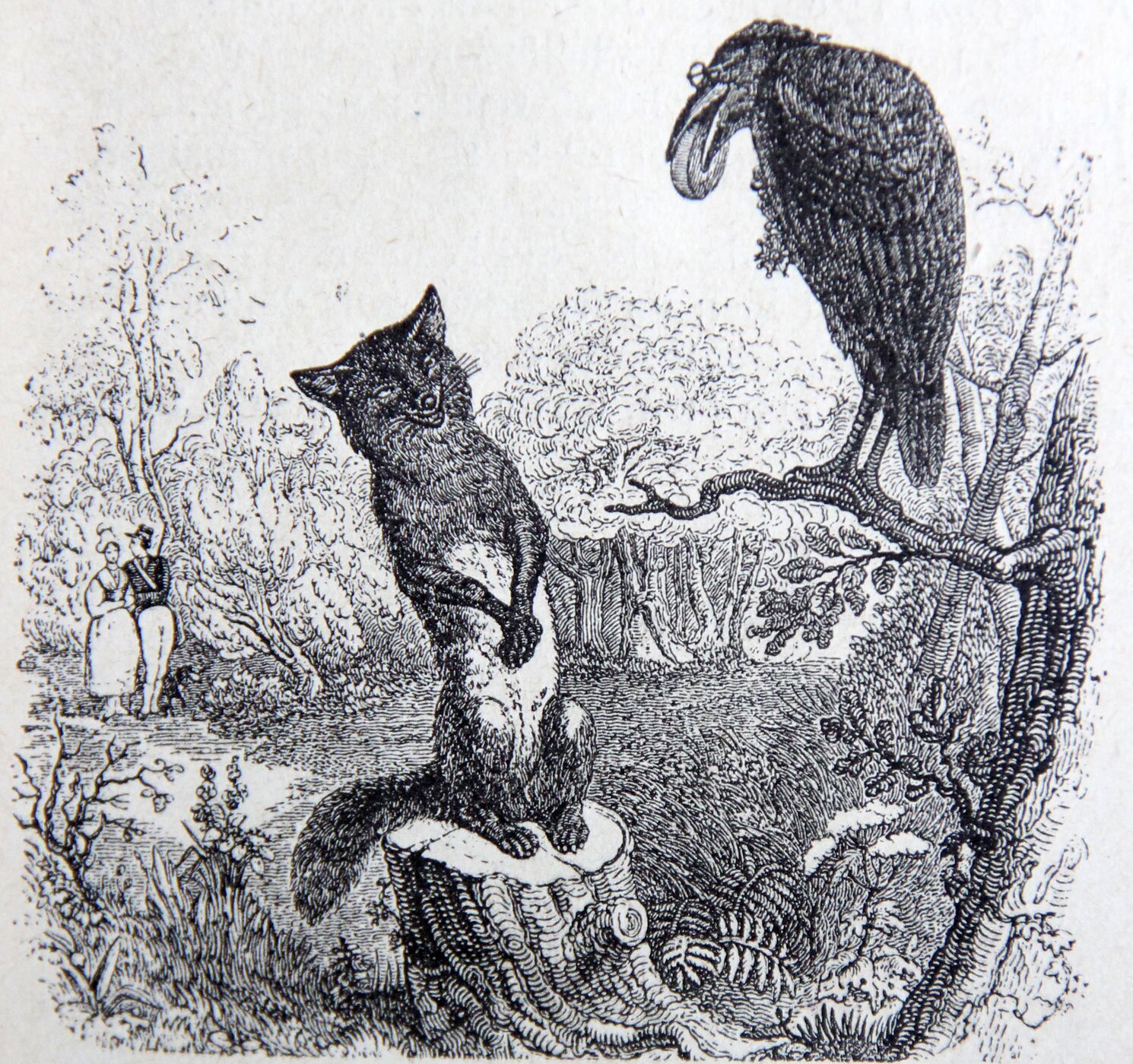 Rycina przedstawia lisa siedzącego na pieńku. Przed lisem, na gałęzi siedzi kruk. Trzyma w dziobie orzech.