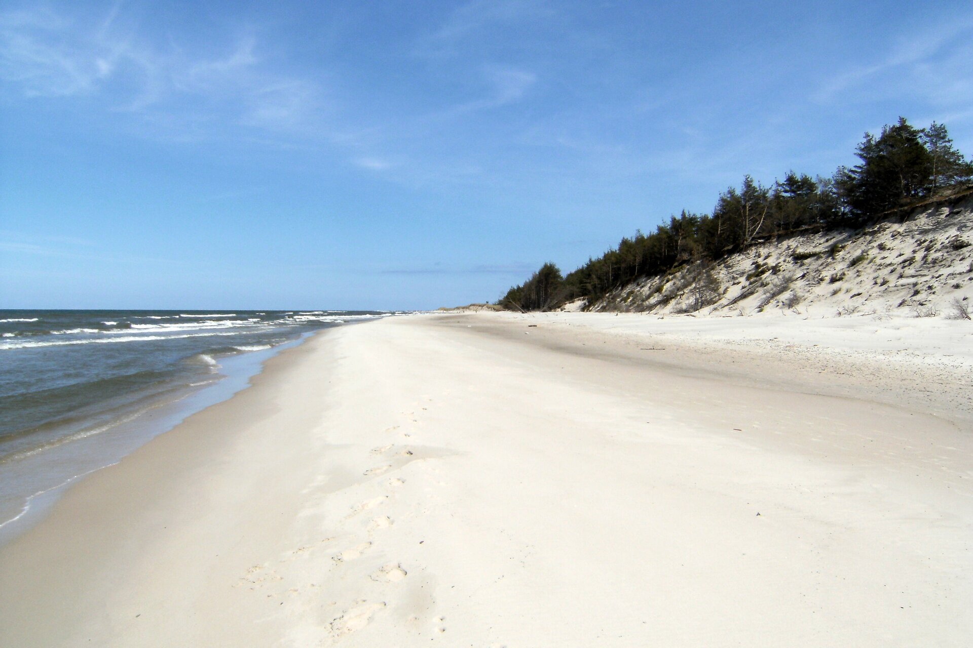 Na zdjęciu piaszczysta plaża nad brzegiem morza. Morze jest nieco pofalowane. Po prawej stronie znajdują się wydmy porośnięte kępami traw i niskimi drzewami. Niebo jest niebieskie i prawie bezchmurne. 