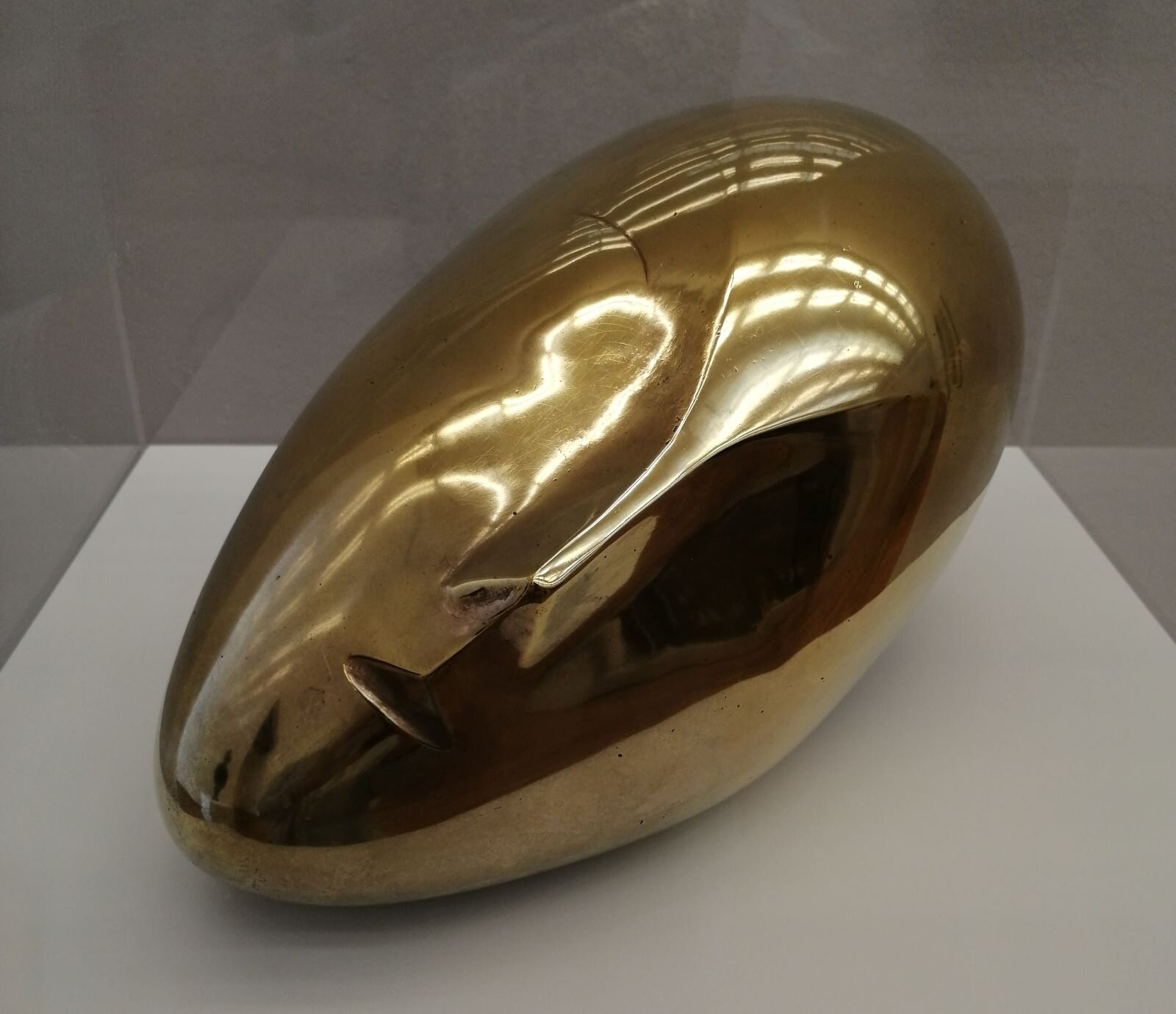 Zdjęcie przedstawia rzeźbę głowy w w kształcie wydłużonego jaja, z zaznaczonym delikatnie nosem i ustami - to uproszczona forma leżąca na boku, jakby śpiąca. Rzeźba jest wykonana z polerowanego metalu, jej autorem jest Constantin Brancusi. Złoty blask lśniącego materiału dodatkowo wzmacnia dynamicznie zmieniające się efekty światłocieniowe.