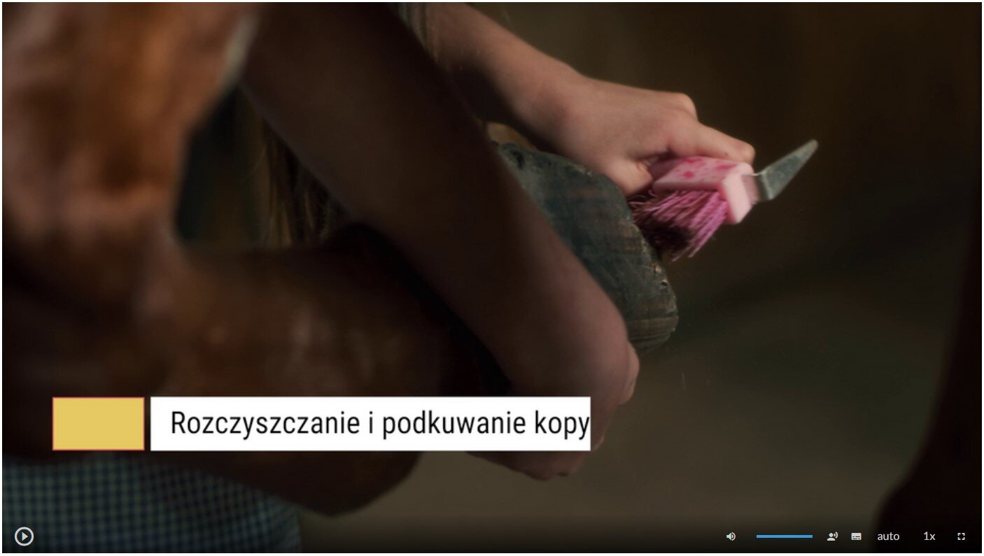 Grafika przedstawia ekran odtwarzania filmu. Na dole znajduje się pasek z ikonami. Po lewej stronie na pasku jest przycisk play, który ma kształt koła z pisanym w niego trójkątem. Po prawej stronie na pasku jest ikona głośnika, pasek głośności, przycisk umożliwiający włączenie napisów, napis „auto”, szybkość wynosząca 1x oraz ikona trybu pełnoekranowego, która kształtem przypomina przerywany kwadrat. 