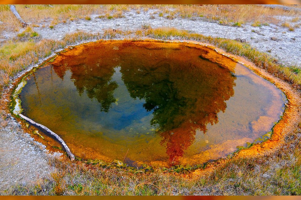 Fotografia gorącego źródła zasiedlonego przez termofilne prokarionty. Prokarionty barwią glebę wokół źródła. Gorące źródła tworzą się na powierzchni, przedstawione źródło na zdjęciu ma kształt owalny. 