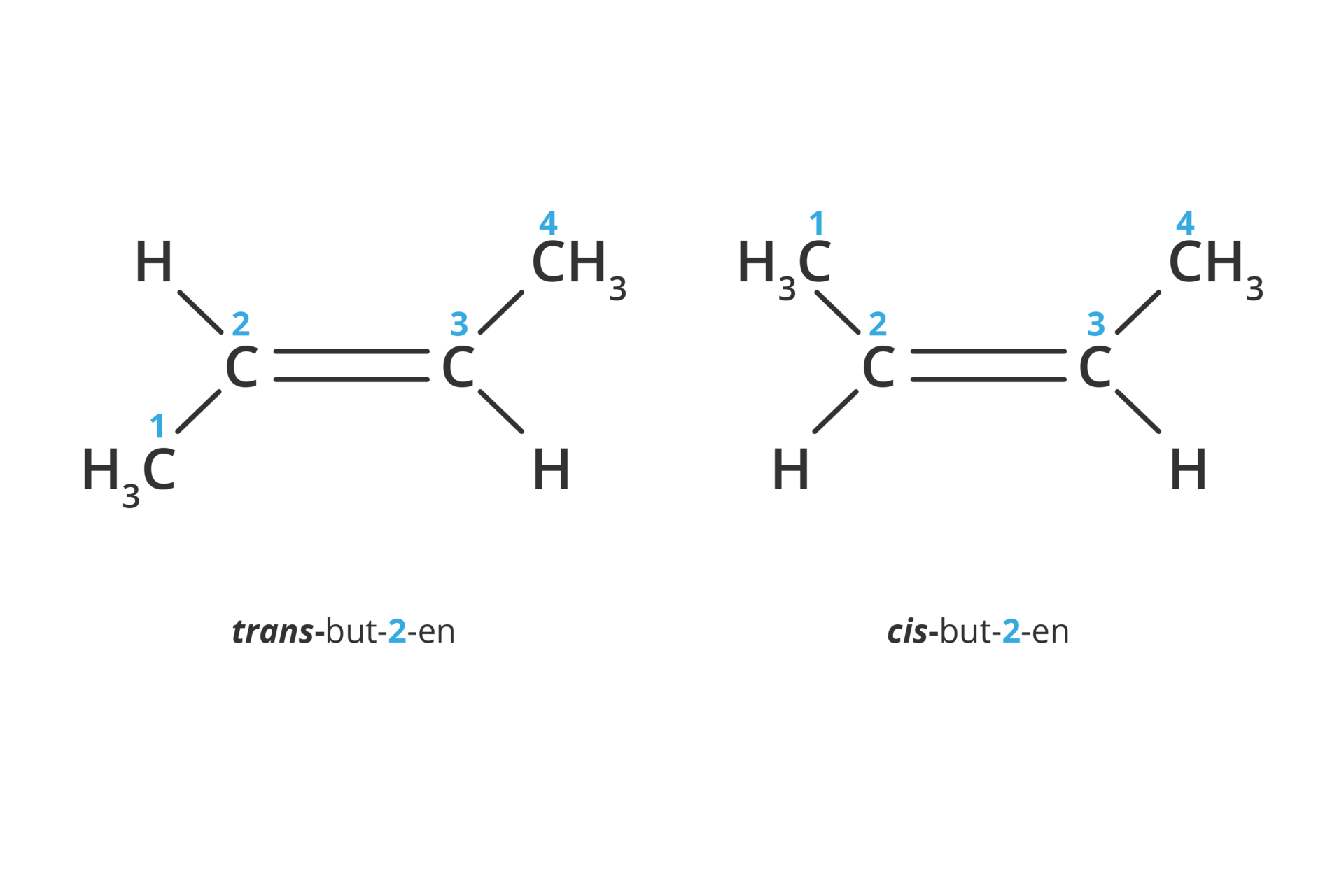 Schemat przedstawia wzór strukturalny dwóch związków. Trans but dwa en oraz cis but dwa en. Wzory różnią się położeniem grupy ce ha trzy. Przy trans but dwa en grupa ce ha trzy umiejscowiona jest po lewej stronie u dołu drugiego atomu węgla. Przy cis but dwa en grupa ce ha trzy umiejscowiona jest po lewej stronie u góry drugiego atomu węgla.  