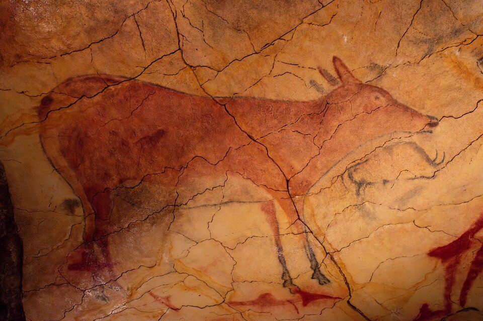 Ilustracja przedstawia prehistoryczne malowidło ukazujące dużego jelenia bez poroża. Zwierzę ukazane jest z boku, w pozycji stojącej, z głową skierowaną w prawo. Jeleń ma długi tułów, głowę wyciągniętą do przodu z krótkimi uszami i  mocno  zarysowaną dolną linią szyi. Nogi zwierzęcia są krótkie i cienkie. Całe ciało wypełnione jest jednolitym, głębokim, ciepłym czerwono‑brązowym kolorem i obrysowane delikatnym czarnym konturem. Tło stanowi jasniejsza, żółto‑czerwona powierzchnia skały. Widać na niej liczne pęknięcia i linie, które biegną w różnych kierunkach. 