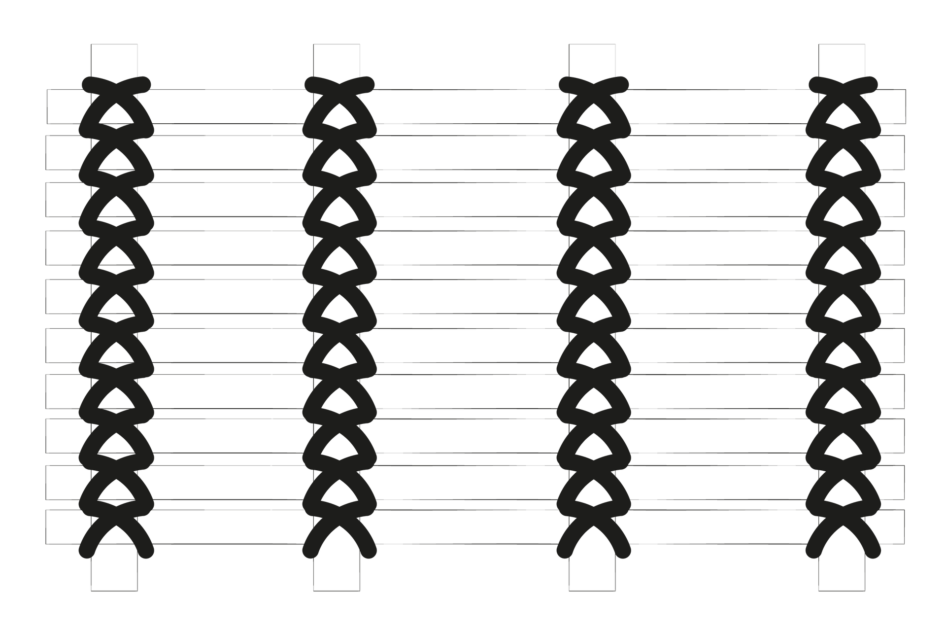 Grafika przedstawia więzadło krzyżowe. Opis więzadła znajduje się w treści powyżej.
