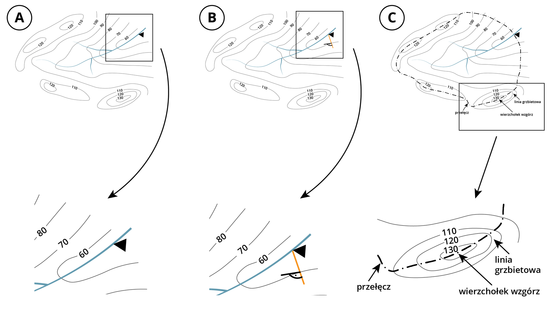Ilustracja przedstawia wyznaczania działu wodnego. Na rysunku A do rzeki przykłada się trójkąt. Na rysunku B pod kątem prostym do poziomicy prowadzi się linię. Na rysunku C przez wszystkie poziomice na szerokim terenie naokoło poprowadzono linię grzbietową działu wodnego, zaznaczono wierzchołek wzgórz i przełęcz.