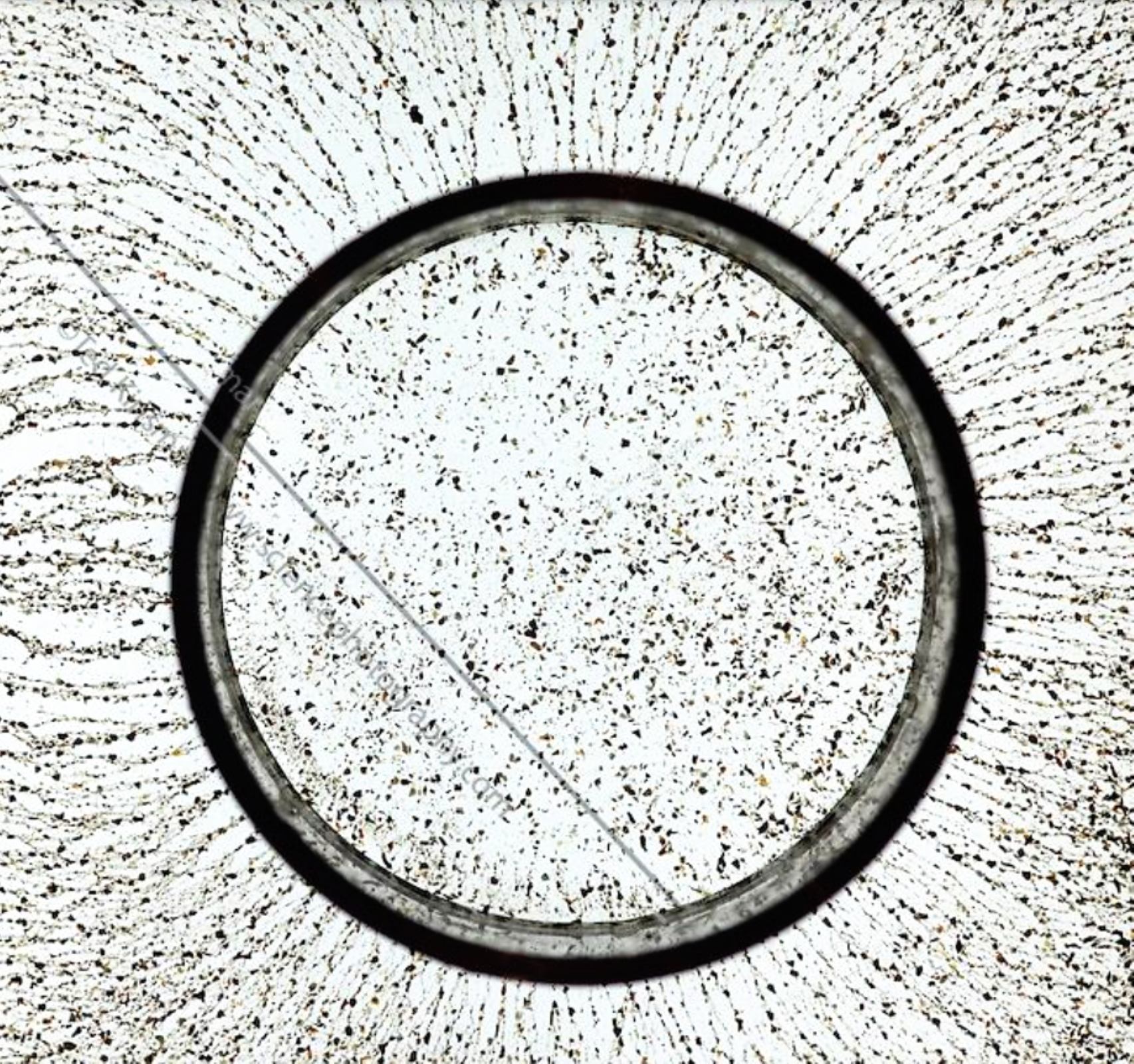 Rys. 3. Ilustracja przedstawia linie sił wewnątrz i na zewnątrz naładowanej kuli pustej w środku. Linie sił zostały uwidocznione przez drobinki, które w polu elektrycznym układają się wzdłuż linii sił. Na zewnątrz kuli drobinki ułożyły się wzdłuż linii rozchodzących się promieniście. Wewnątrz kuli drobinki rozłożone są równomiernie, nie występują tam linie sił.