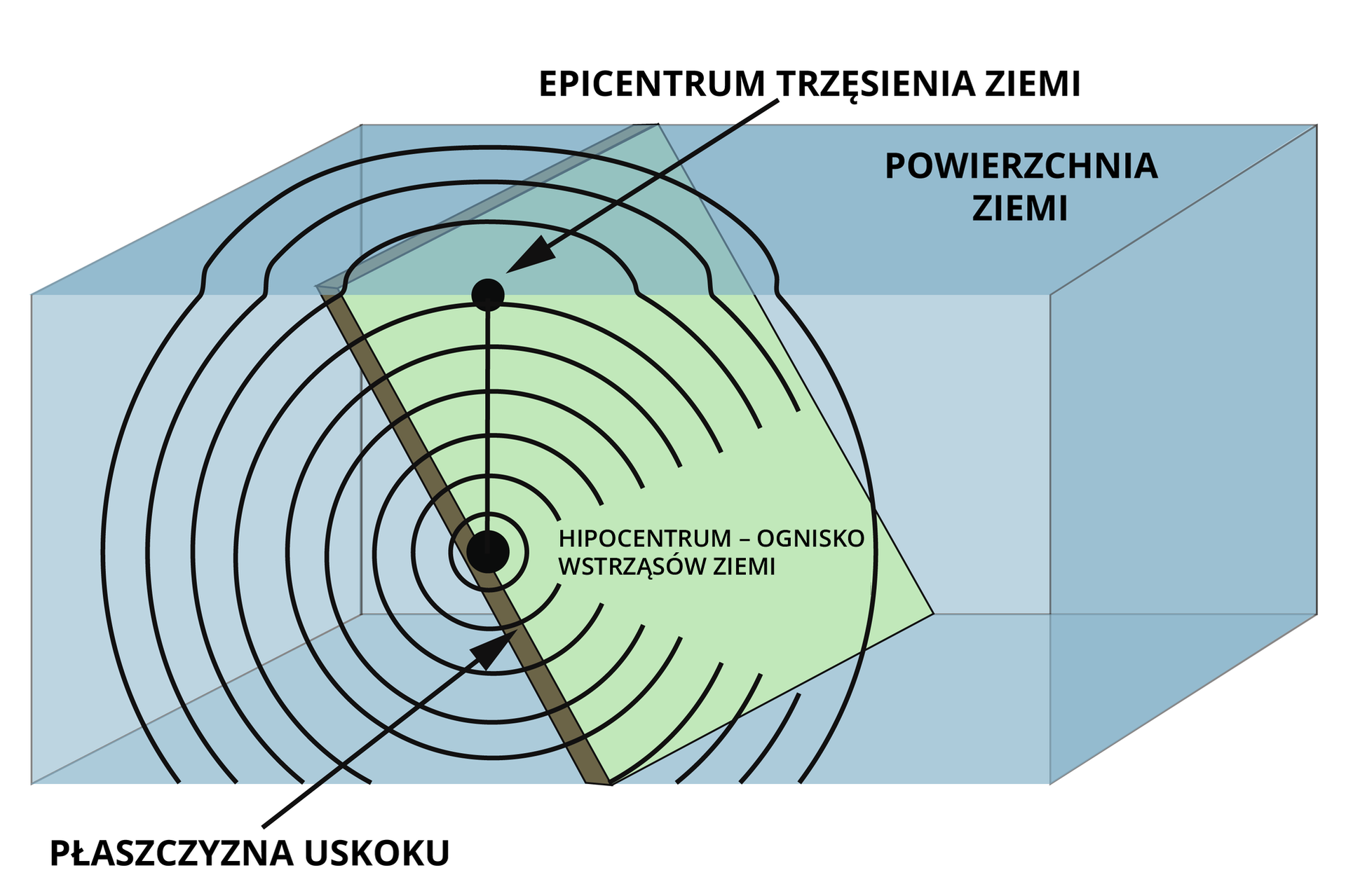 Ilustracja przedstawia schemat trzęsienia ziemi. Powierzchnia ziemi zobrazowana jest jako górna ściana prostopadłościanu. W środku prostopadłościanu znajduje się ustawiona pod skosem płaszczyzna uskoku – prostokąt dotykający górnej i dolnej podstawy prostopadłościanu. W połowie tej płaszczyzny, na bocznej ścianie prostopadłościanu narysowany jest duży punkt podpisany hipocentrum - ognisko wstrząsów ziemi, od którego odchodzą powiększające się okręgi, aż do powierzchni ziemi. Tuż nad ogniskiem na powierzchni ziemi zaznaczony jest kolejny punkt – epicentrum trzęsienia ziemi. Od niego również na powierzchni ziemi rozchodzą się koncentryczne okręgi.