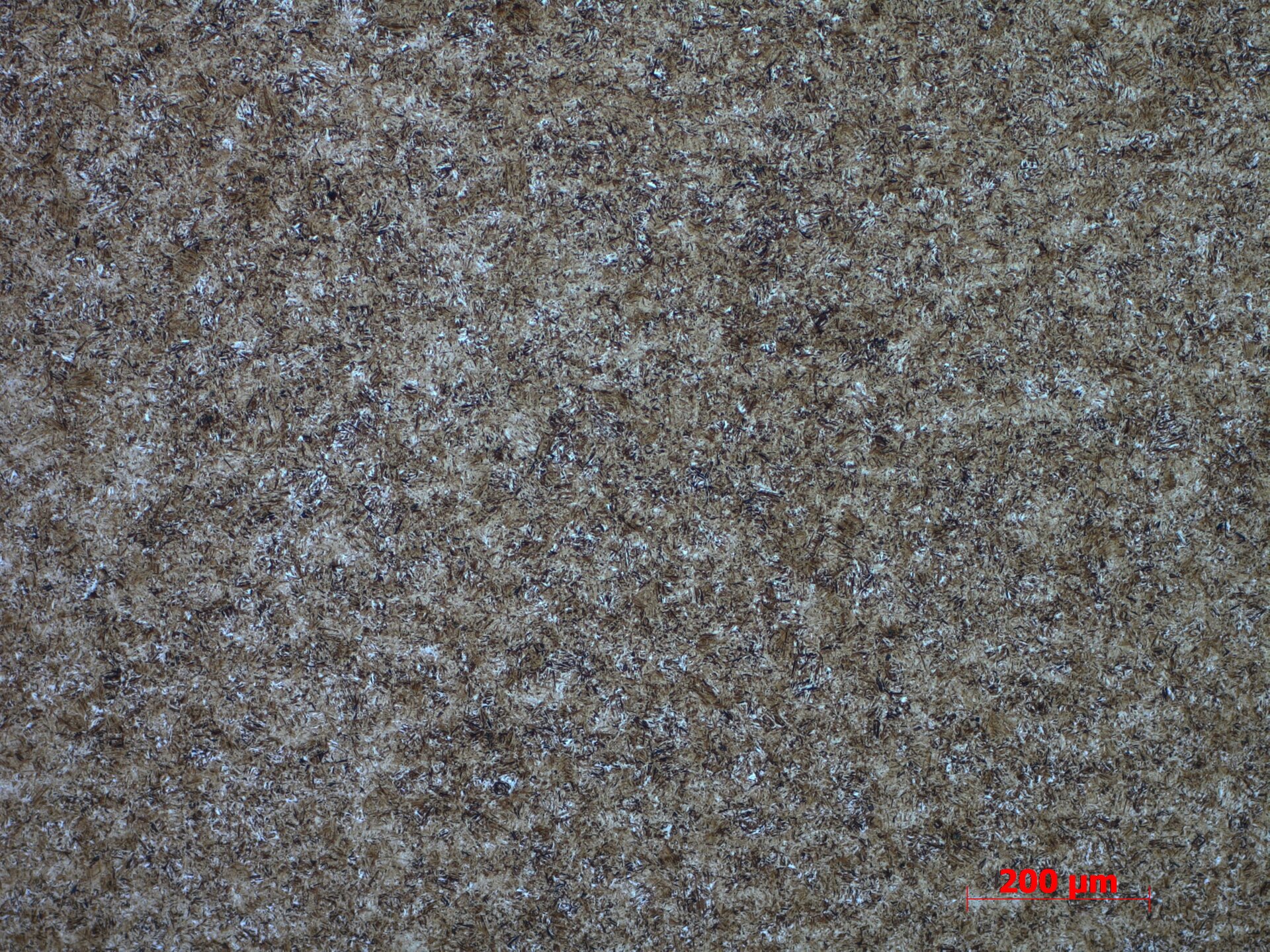 Mikrostruktura martenzytyczna
Powiększenie 10x