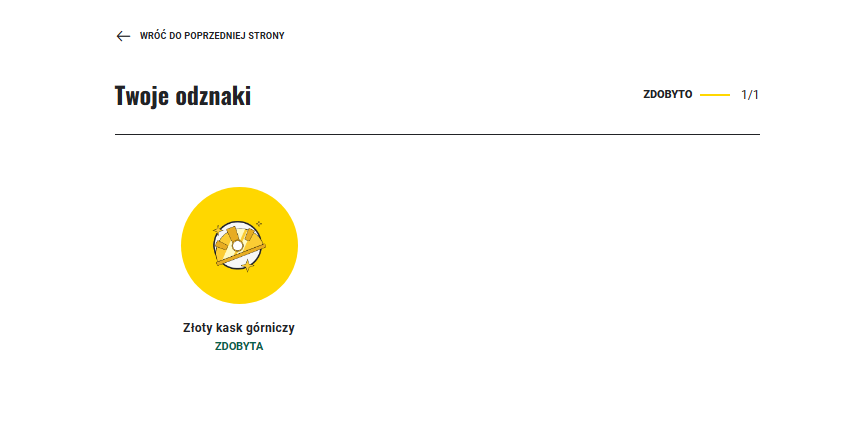 Przykładowy ekran zdobytych odznak