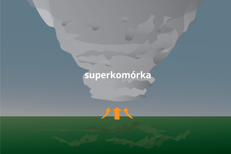 Grafika przedstawia superkomórkę burzową. Jest on wąska u podstawy i rozszerza się ku górze.