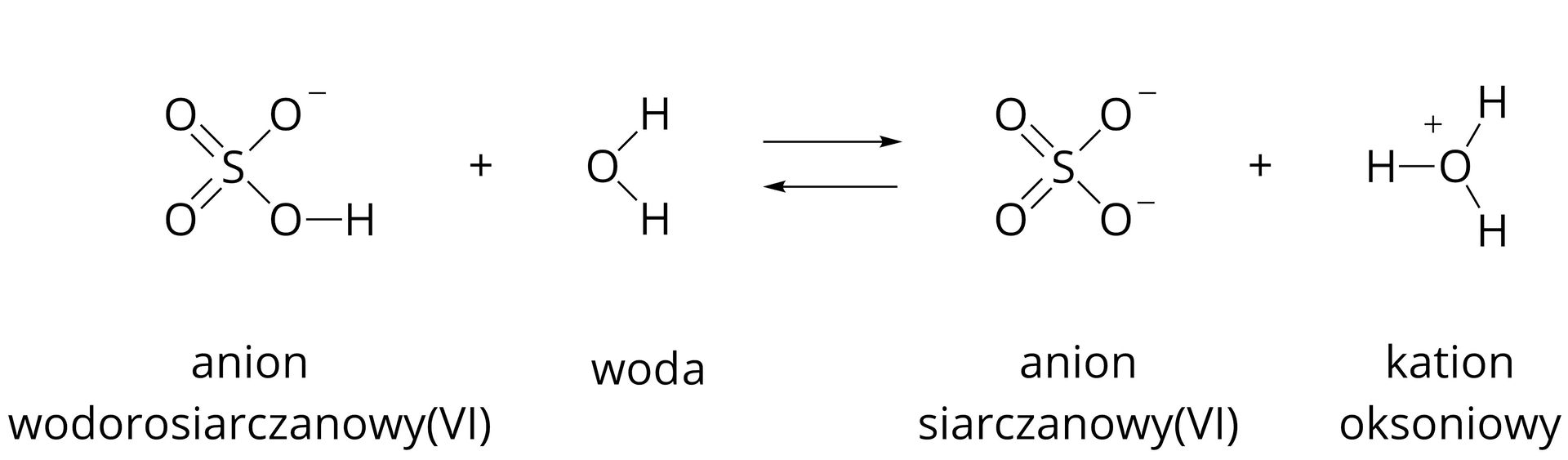 Grafika przedstawia równanie reakcji dysocjacji anionu wodorosiarczanowego przedstawione za pomocą wzorów strukturalnych. Dwa atomy O połączone wiązaniami podwójnymi z jednym atomem S, połączonym dwoma wiązaniami pojedynczymi z dwoma kolejnymi atomami O,  z których górny ma indeks górny minus, a dolny jest połączony wiązaniem pojedynczym z atomem H. Całość jest podpisana "anion wodorosiarczanowy(sześć). Dalej znak plus i atom O połączony dwoma wiązaniami pojedynczymi z dwoma atomami H. Obok znajdują się dwie poziome strzałki, jedna nad drugą, wskazujące w przeciwne strony – jedna w prawo, a druga w lewo, oznaczające, że reakcja zachodzi w dwie strony. Za strzałkami dwa atomy O, połączone dwoma wiązaniami podwójnymi z jednym atomem S, który jest połączony dwoma wiązaniami pojedynczymi z dwoma kolejnymi atomami O, z których każdy posiada indeks górny minus. Jon podpisany "anion siarczanowy(sześć). Dalej znak plus i atom O z indeksem górnym plus, połączony trzema wiązaniami pojedynczymi z trzema atomami H. Całość podpisana "kation oksoniowy".  