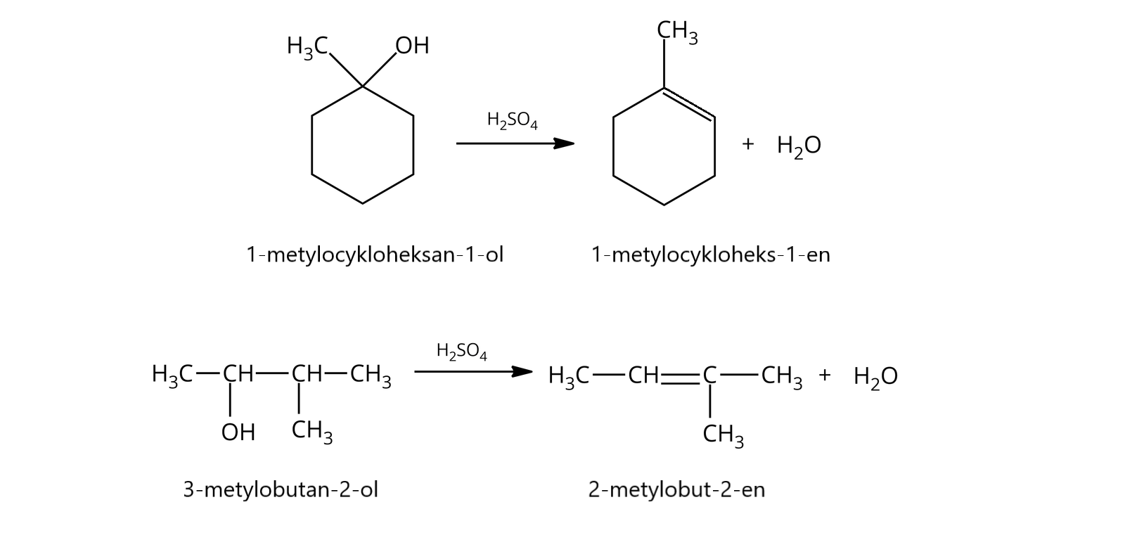 Ilustracja przedstawiająca dwa równania reakcji chemicznych. Pierwsze równanie. Cząsteczka 1-metylocykloheksan-1-olu zbudowanego z sześcioczłonowego pierścienia nasyconego, w którym jeden atom węgla podstawiony jest grupą metylową CH3 oraz grupą hydroksylową OH. Strzałka w prawo, nad strzałką H2SO4. Za strzałką cząsteczka 1-metylocykloheks-1-enu zbudowanego z sześcioczłonowego pierścienia, w którym pomiędzy atomami węgla o pierwszym i drugim lokancie występuje wiązanie podwójne, zaś pomiędzy pozostałymi znajdują się wiązania nasycone. Atom węgla w pozycji pierwszej łączy sie z grupą metylową CH3. Dodać cząsteczkę wody. Drugie równanie. Cząsteczka 3-metylobutan-2-olu zbudowanego z grupy metylowej CH3 związanej z grupą CH podstawioną grupą hydroksylową OH i związaną z kolejna grupą CH łączącą się z grupą metylową CH3. Strzałka w prawo, nad strzałką H2SO4. Za strzałką cząsteczka 2-metylobut-2-enu zbudowana z atomu węgla podstawionego dwiema grupami metylowymi CH3 i połączonego za pomocą wiązania podwójnego z grupą CH podstawioną grupą metylową CH3. Dodać cząsteczkę wody.