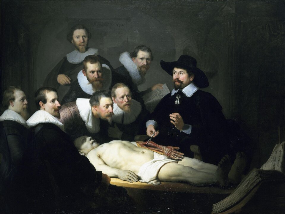Obraz przedstawia doktora Tulpa tłumaczącego skupionym wokół niego mężczyznom szczegóły anatomiczne ludzkiej ręki. Doktor stoi za ciałem, trzyma nożyczki do sekcji zwłok i rozcina przedramię trupa. Jest ubrany w czarny strój, na głowie ma czarny kapelusz. Jedynie mankiety i koronkowy kołnierz są białe. Przy ciele trupa stoi siedmiu mężczyzn, czterech pochyla się nad zwłokami. Wszyscy przypatrują się sekcji. Mężczyźni mają spiczaste brody i wąsy oraz odkryte głowy z krótkimi włosami. Przy szyi noszą kryzy – białe, układane jak w harmonijkę kołnierze. Czerń ich ubrań kontrastuje z kołnierzami i bladością ciała trupa. Mężczyźni nachylają się z zaciekawieniem nad ciałem. W prawym dolnym rogu stoi wielka otwarta księga. W głębi obrazu, na ścianie, widnieje podpis artysty: Rembrandt f tysiąc sześćset trzydziesty drugi.