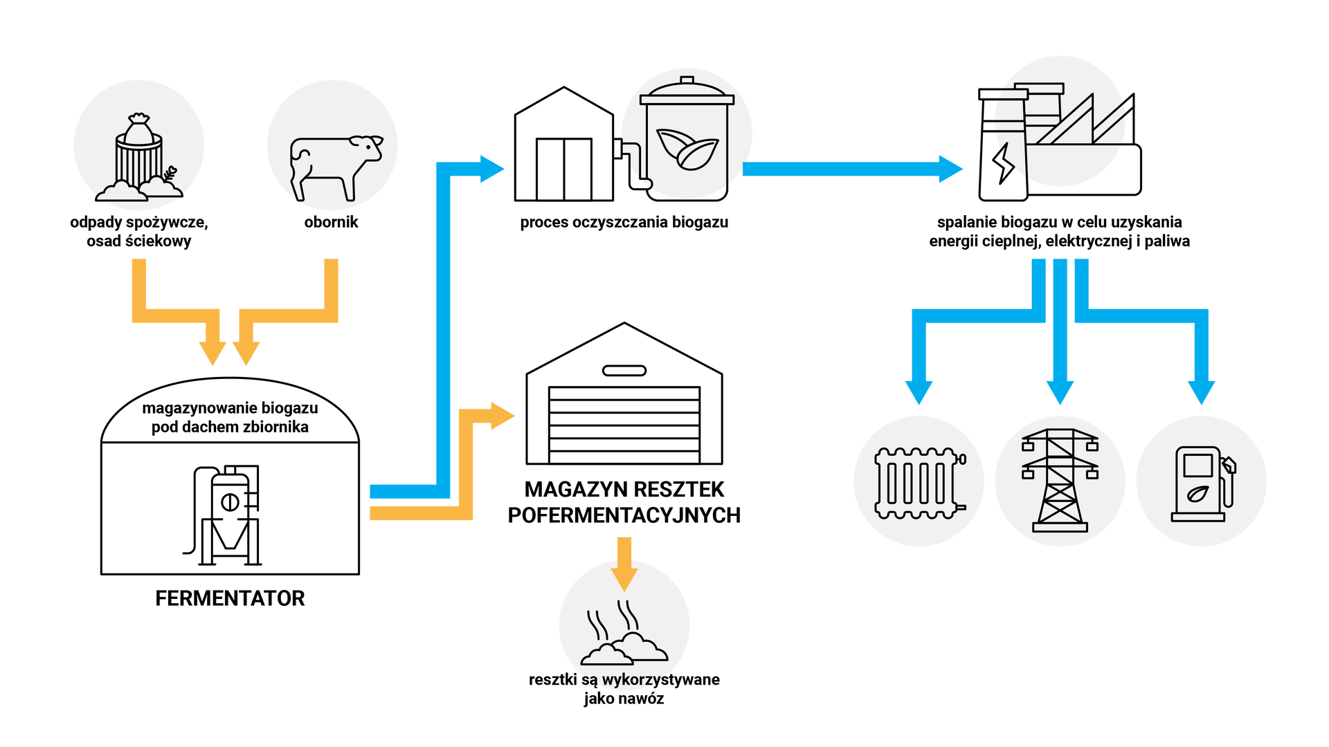 Ilustracja przedstawia zasadę działania biogazowni. Z lewej strony znajdują się małe symbole odpadów spożywczych, osadów ściekowych (kosz na śmieci, z odpadami wokół) i obornika (czarna krowa) jako surowców do produkcji biogazu. Odchodzą od nich dwie pomarańczowe strzałki w dół do fermentatora, zamkniętego w niedużym pomieszczeniu, na którego dachu widnieje napis: magazynowanie biogazu pod dachem zbiornika. Od niego odchodzą dwie strzałki. Jedna (pomarańczowa) do czarnego urządzenia ze spiczastym dachem, opisanego jako magazyn resztek pofermentacyjnych, od którego odchodzi strzałka w dół opisana: resztki są wykorzystywane jako nawóz. Druga strzałka (niebieska) prowadzi od fermentatora do czarnego budynku, połączonego z szerokim cylindrem (przedstawiającym zbiornik), czyli miejsca w których zachodzi proces oczyszczania biogazu. Od niego odchodzi niebieska strzałka w prawo do budynku (dwa, czarne podłużne kominy z symbolem błyskawicy z połączonym niedużym prostokątem, na którym widnieją dwa trójkąty) , w którym dochodzi do spalania biogazu w celu uzyskania energii cieplnej, elektrycznej i paliwa. Prowadzą od niego trzy strzałki do symboli przedstawiających sposoby wykorzystania energii ze spalania biogazu: grzejnik, linie wysokiego napięcia, dystrybutor paliwa.