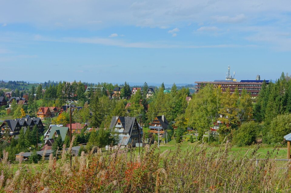Zdjęcie przedstawia domy ze spadzistymi dachami stojęce w terenie pagórkowatym pomiędzy drzewami, w pobliżu łąk. W tle jest większy budynek, kilkukondygnacyjny.   