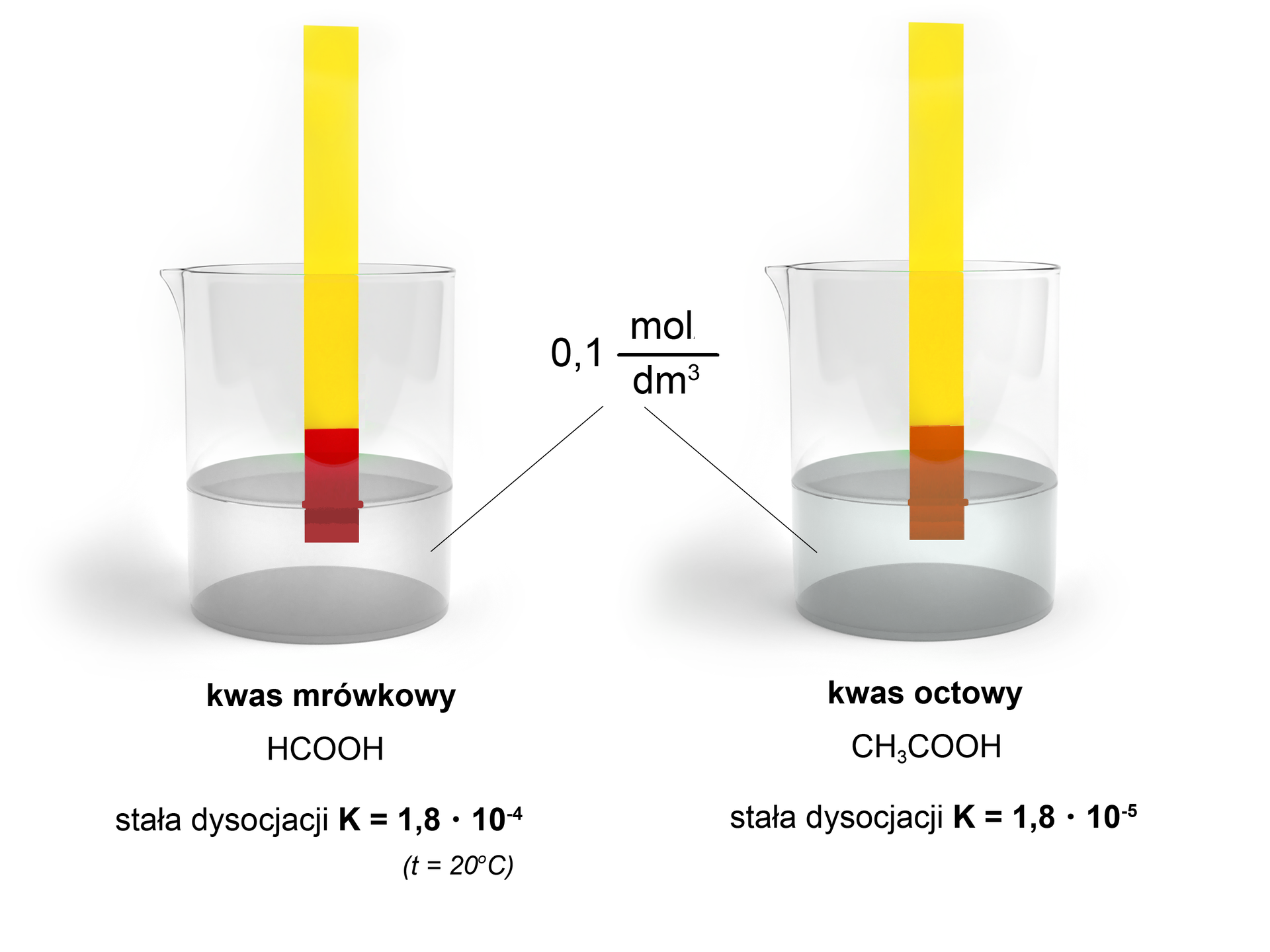 Ilustracja przedstawiająca dwie zlewki. W pierwszej znajduje się roztwór kwasu mrówkowego H C O O H, dla którego stała dysocjacji K równa jest jeden przecinek osiem, razy, dziesięć indeks górny, minus, cztery, koniec indeksu górnego. W drugiej probówce znajduje się roztwór kwasu octowego C H indeks dolny, trzy, koniec indeksu dolnego, C O O H, dla którego z kolei stała dysocjacji K wynosi jeden przecinek osiem, razy, dziesięć indeks górny, minus, pięć, koniec indeksu górnego. Oba roztwory mają takie samo stężenie równe 0,1 mol na decymetr sześcienny. W obu zlewkach zanurzone są uniwersalne papierki wskaźnikowe. W pierwszej zlewce papierek zabarwił się na intensywnie czerwony kolor, zaś w drugiej przyjął kolor pomarańczowy.