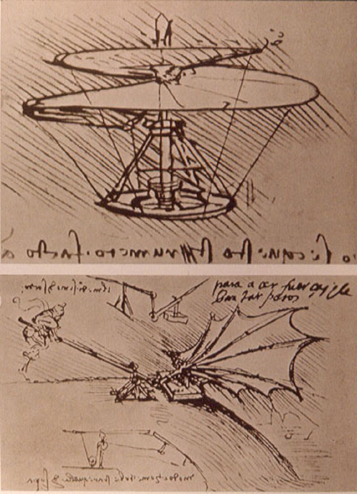 Ilustracja przedstawia dwa rysunki Leonarda da Vinci, ukazujące projekty maszyn latających. Wykonane są brązowym tuszem na papierze. Pierwszy przedstawia projekt helikoptera, drugi jest szkicem lotni. Obie prace zawierają także notatki autora. 