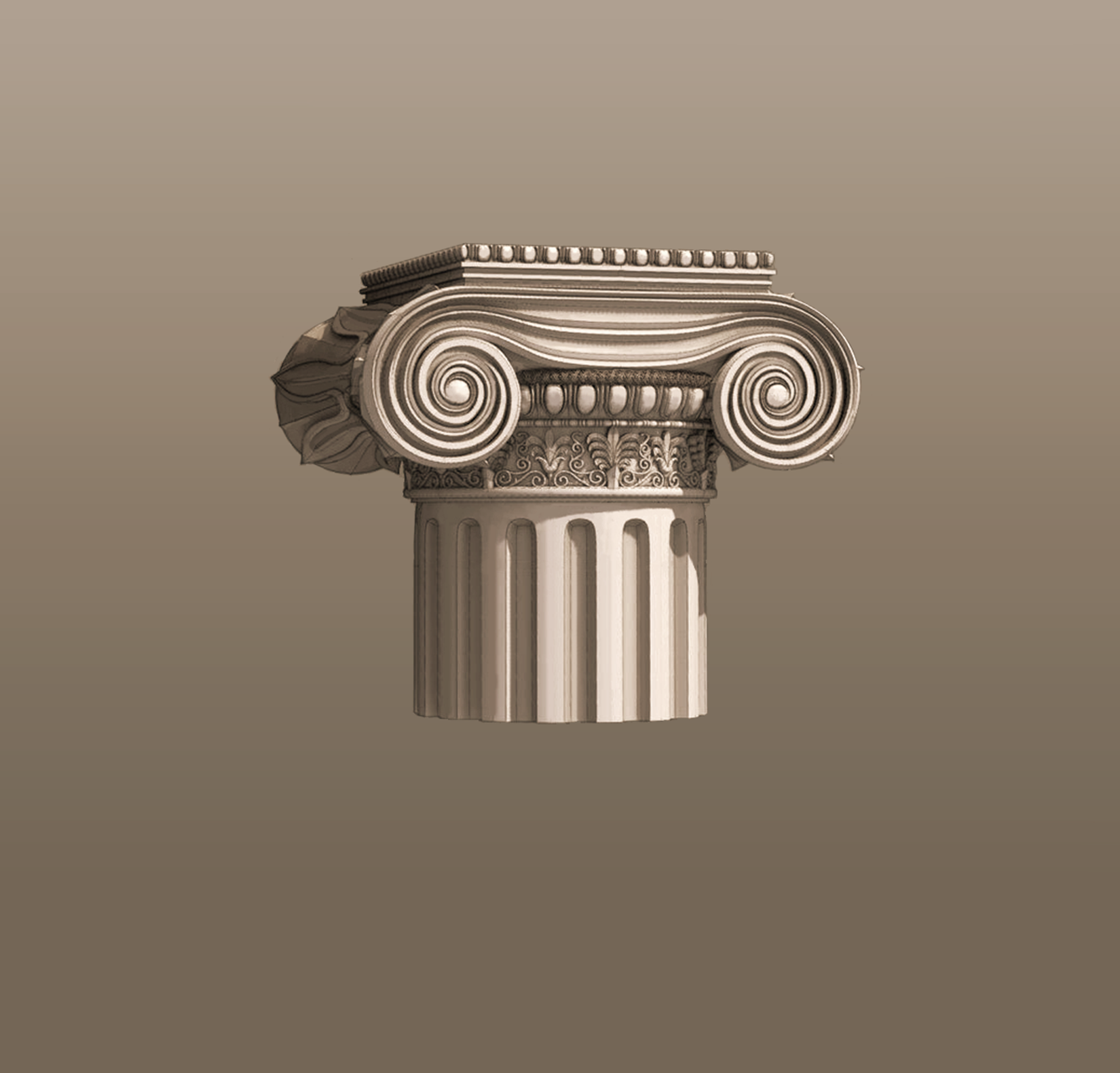 Na ilustracji znajduje się grafika przedstawiająca głowicę oraz fragment trzonu kolumny jońskiej. Głowica kolumny ozdobiona jest wolutami przypominającymi baranie rogi. Między żłobkowanym trzonem kolumny a wolutami, wokół kolumny, biegnie wąski pas płaskorzeźb przedstawiających motywy roślinne. Nad nim drobne wypukłe elementy, tak zwane „wole oczka”.