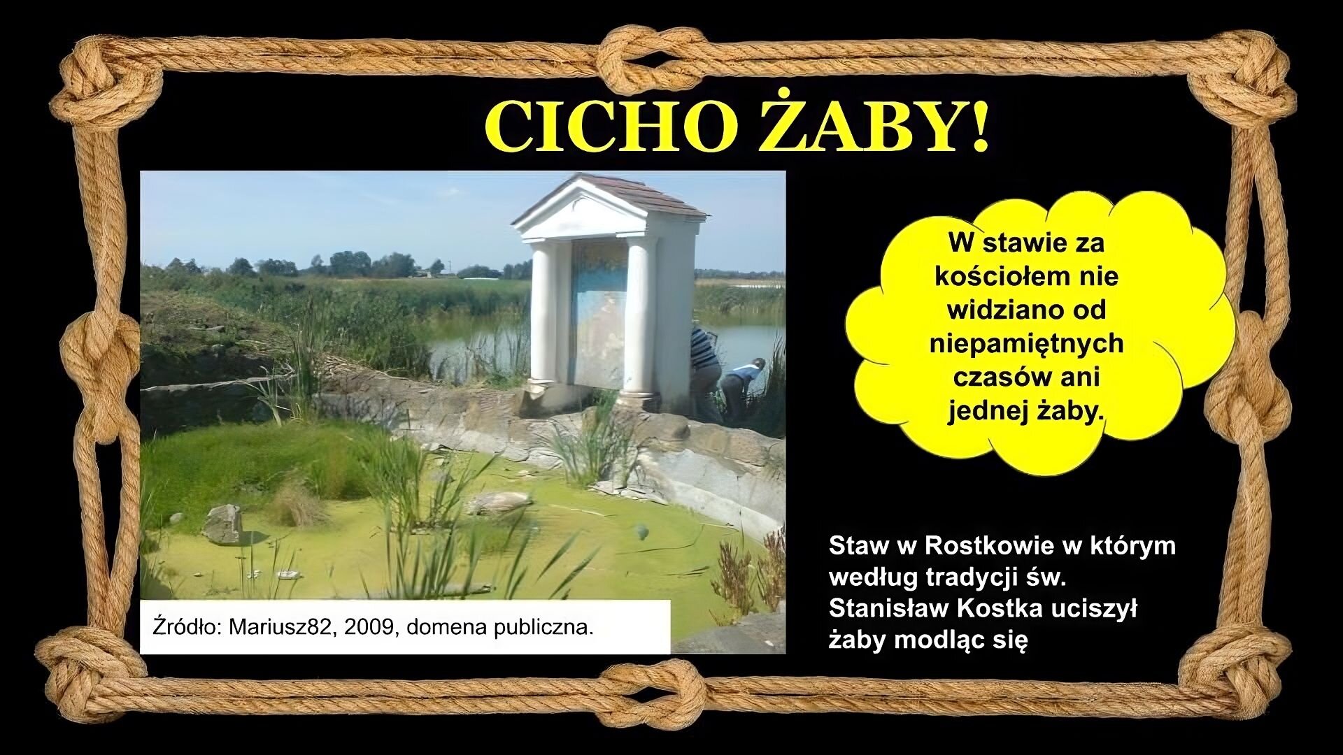 Slajd zawiera napis tytułowy, umieszczony po środku: Cicho żaby! Poniżej, po prawej znajduje się dymek z napisem: W stawie za kościołem nie widziano od niepamiętnych czasów ani jednej żaby. Po lewej stronie znajduje się zdjęcie, które przedstawia niewielką kapliczkę. Składa się ona z dwóch filarów, podpierających dach. Kapliczka nie posiada drzwi, ani okien. Stoi nad brzegiem stawu. Poniżej napis: Staw w Rostkowie w którym według tradycji św. Stanisław Kostka uciszył żaby modląc się. Tło slajdu jest czarne, a ramkę slajdu tworzy sznur, przeplatany kilkoma supłami.
