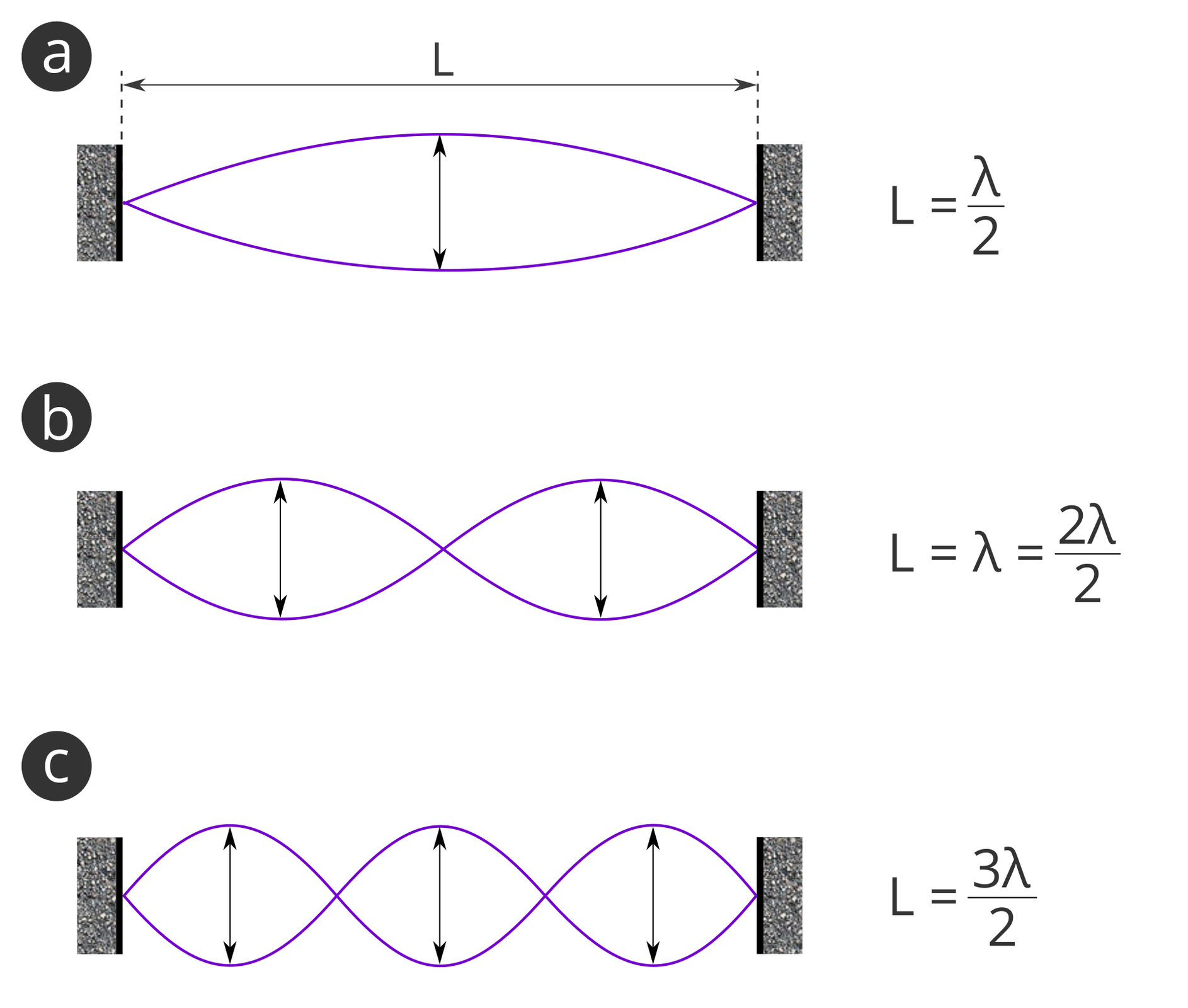 Na rysunku przedstawione są 3 fale stojące o różnych długościach. Na schemacie a jest jedna strzałka, w b są dwie strzałki, a w c są trzy strzałki.