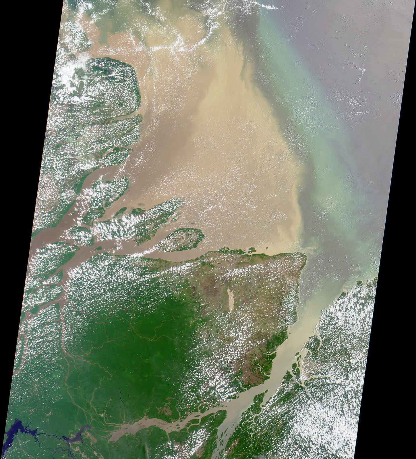 Na zdjęciu satelitarnym widać ujście rzeki. Rozległa delta. Daleko w głąb morza naniesione są osady. Osady w kolorze beżowym, dalej morze turkusowe.